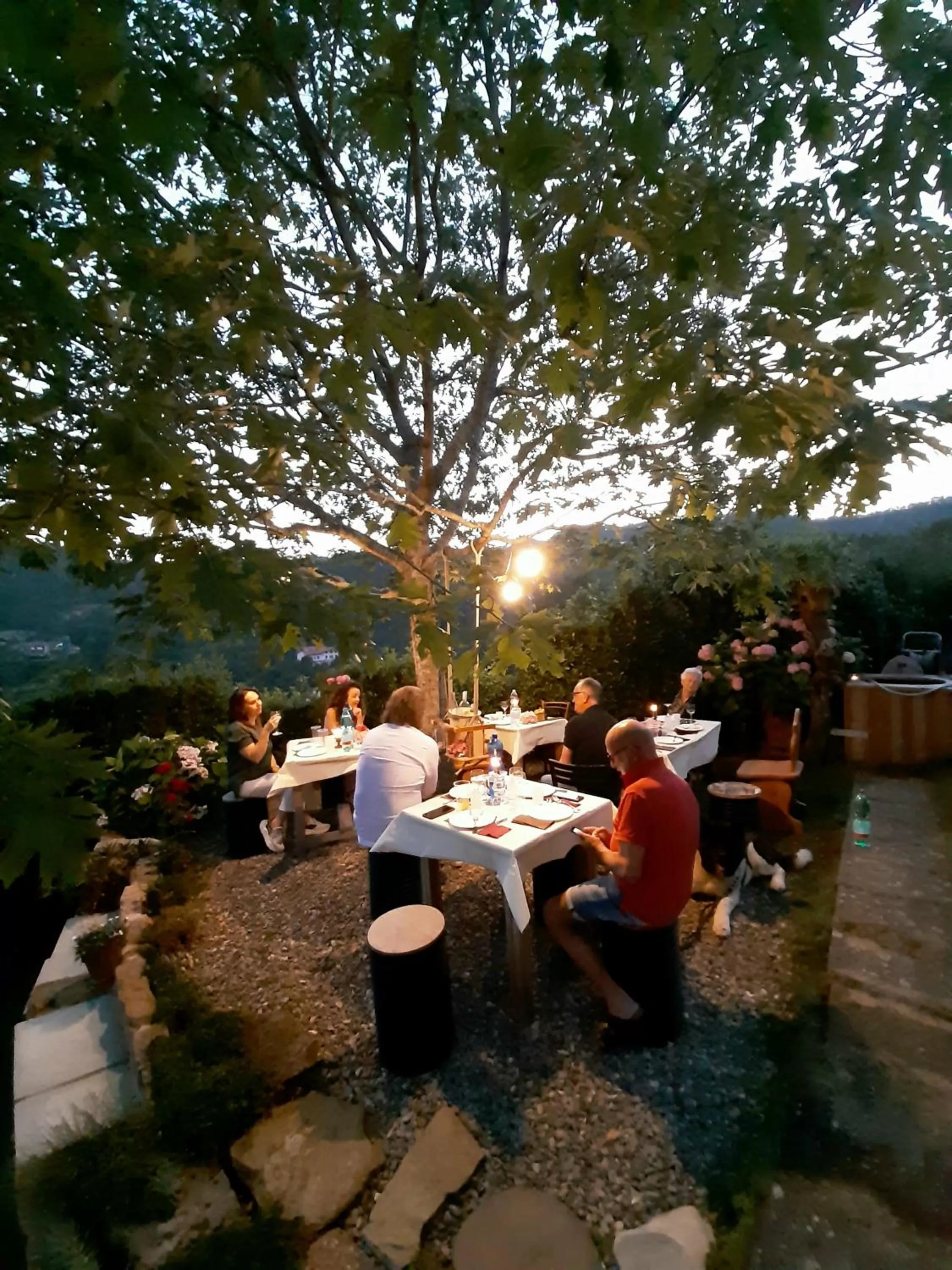 Restaurant/Places to Eat in B&B degli Allori