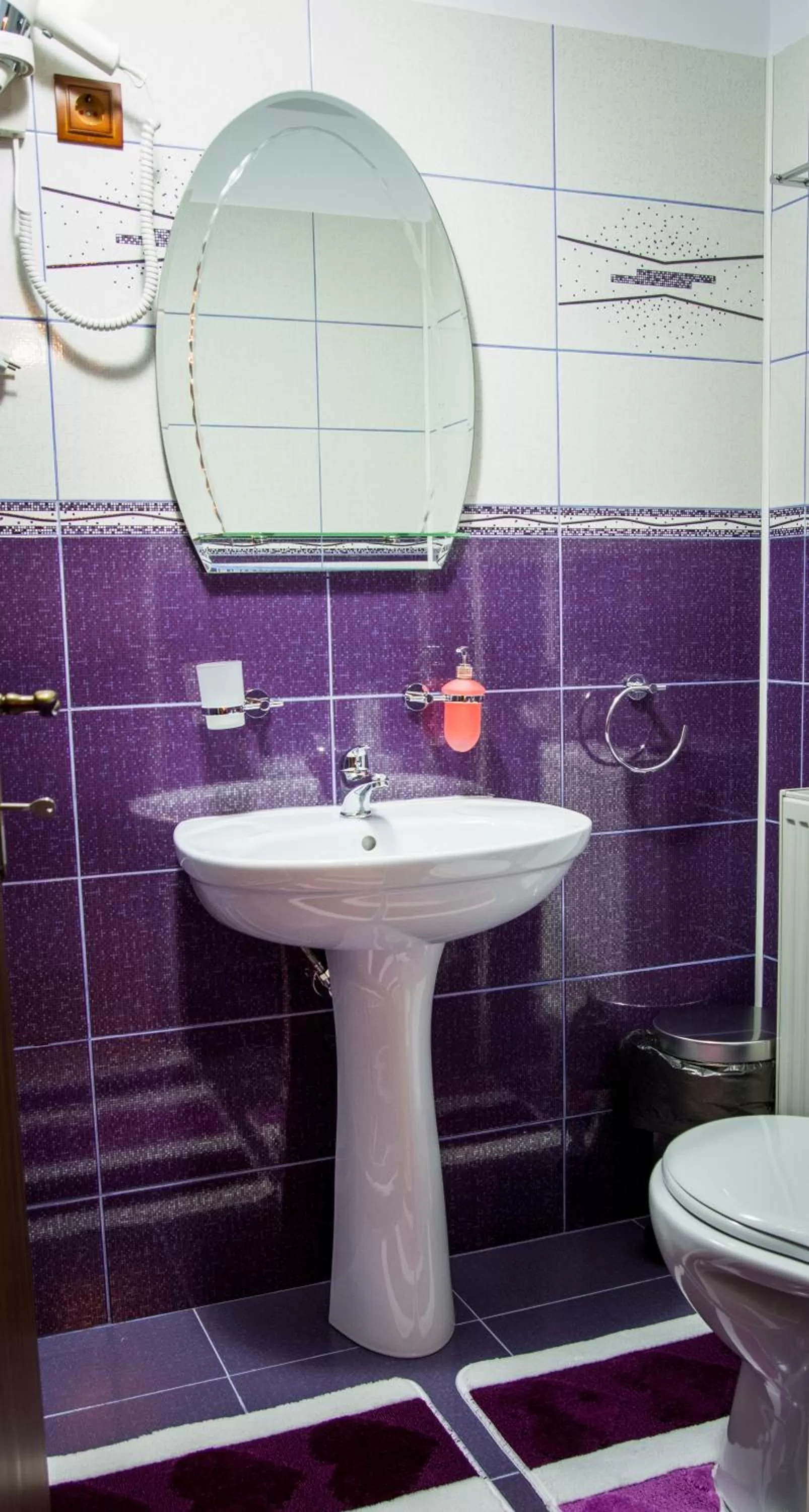 Shower, Bathroom in Pensiunea SilvAnka