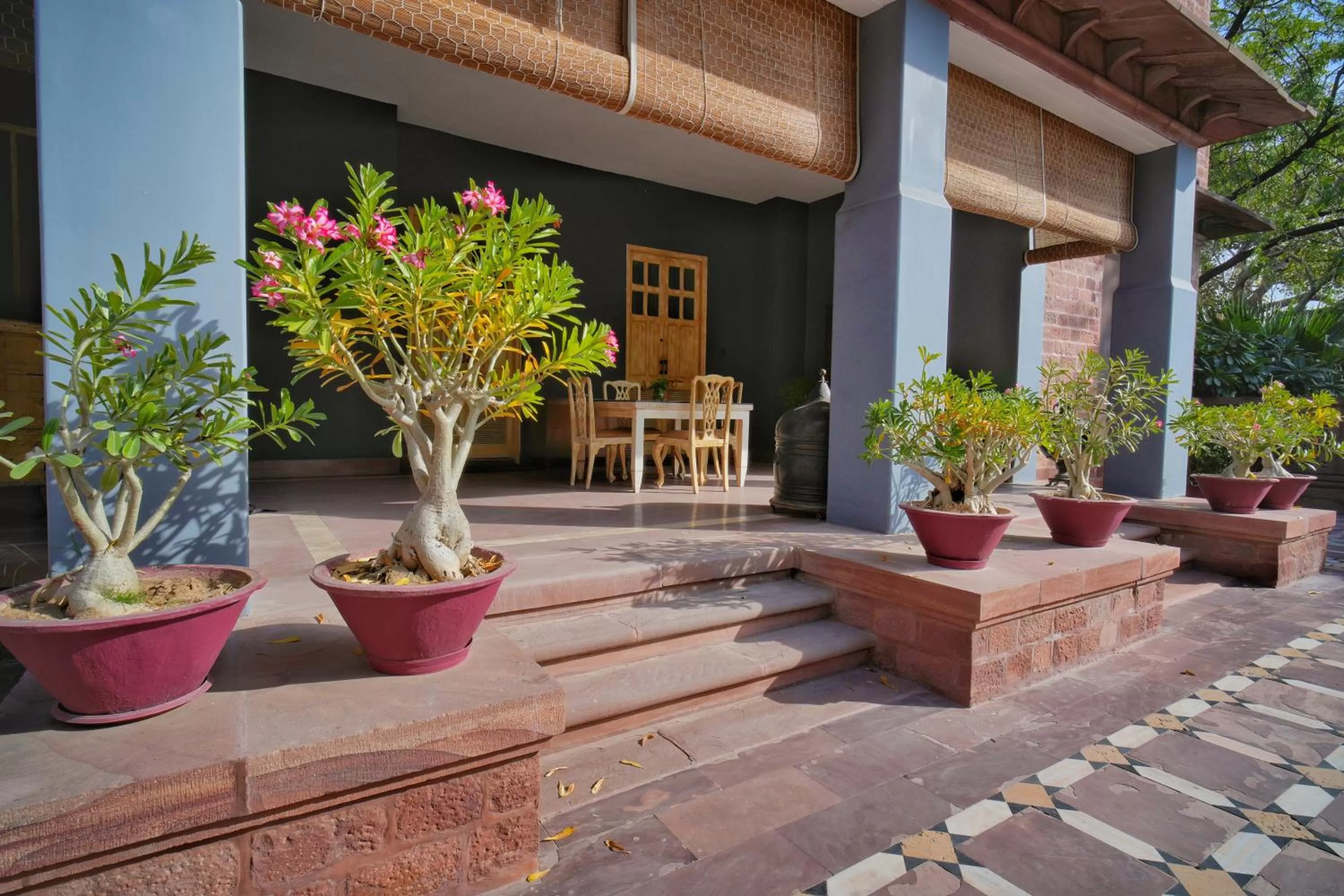 View (from property/room) in Ajit Bhawan - A Palace Resort