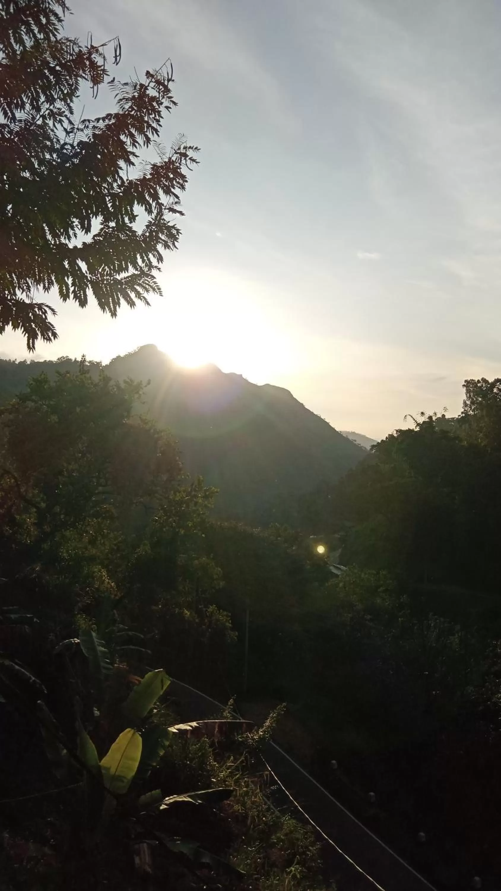 Ella Lucky Panoramic