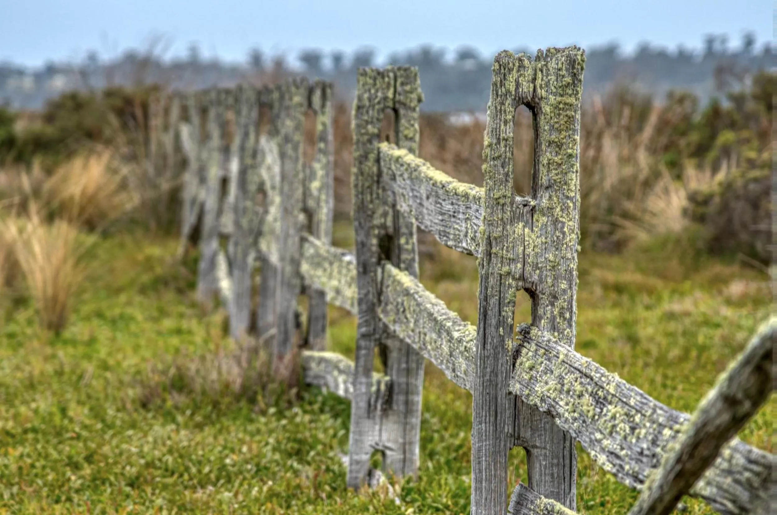 Natural landscape in Panorama Hotel St Helens