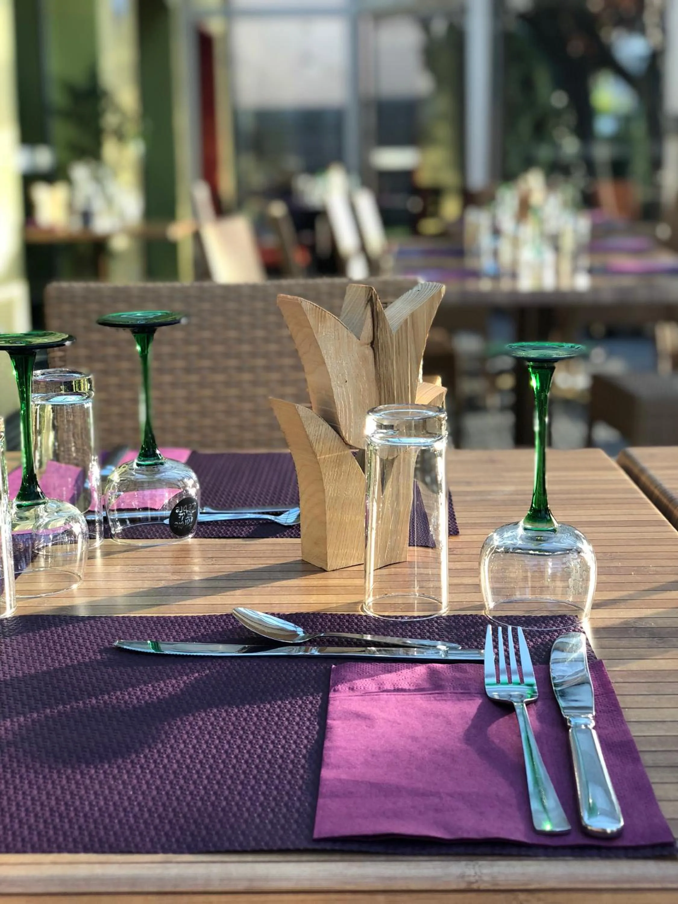 Meals in Hotel Arc-En-Ciel Colmar Contact Hotel