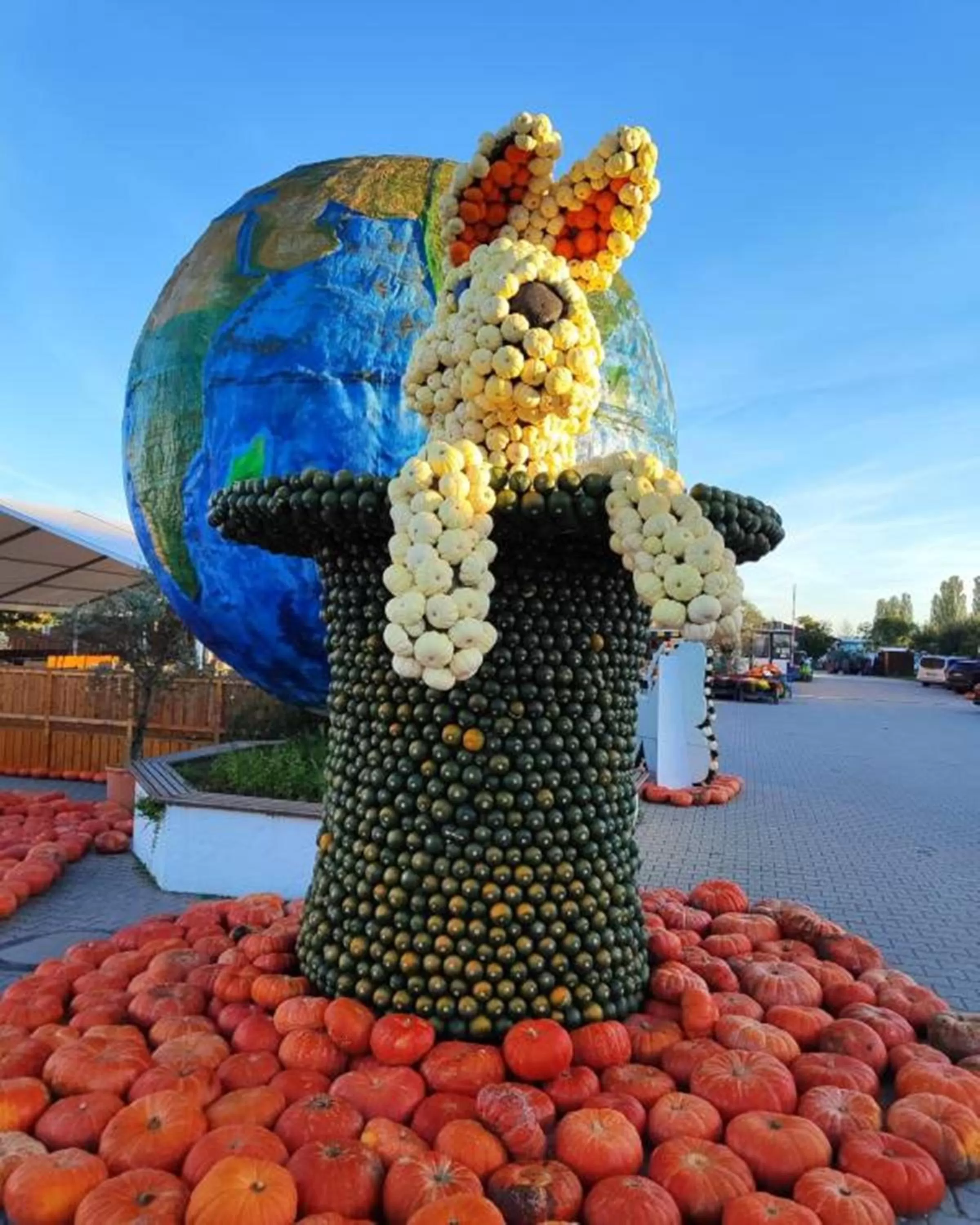 Area and facilities in Landhotel Bohrerhof