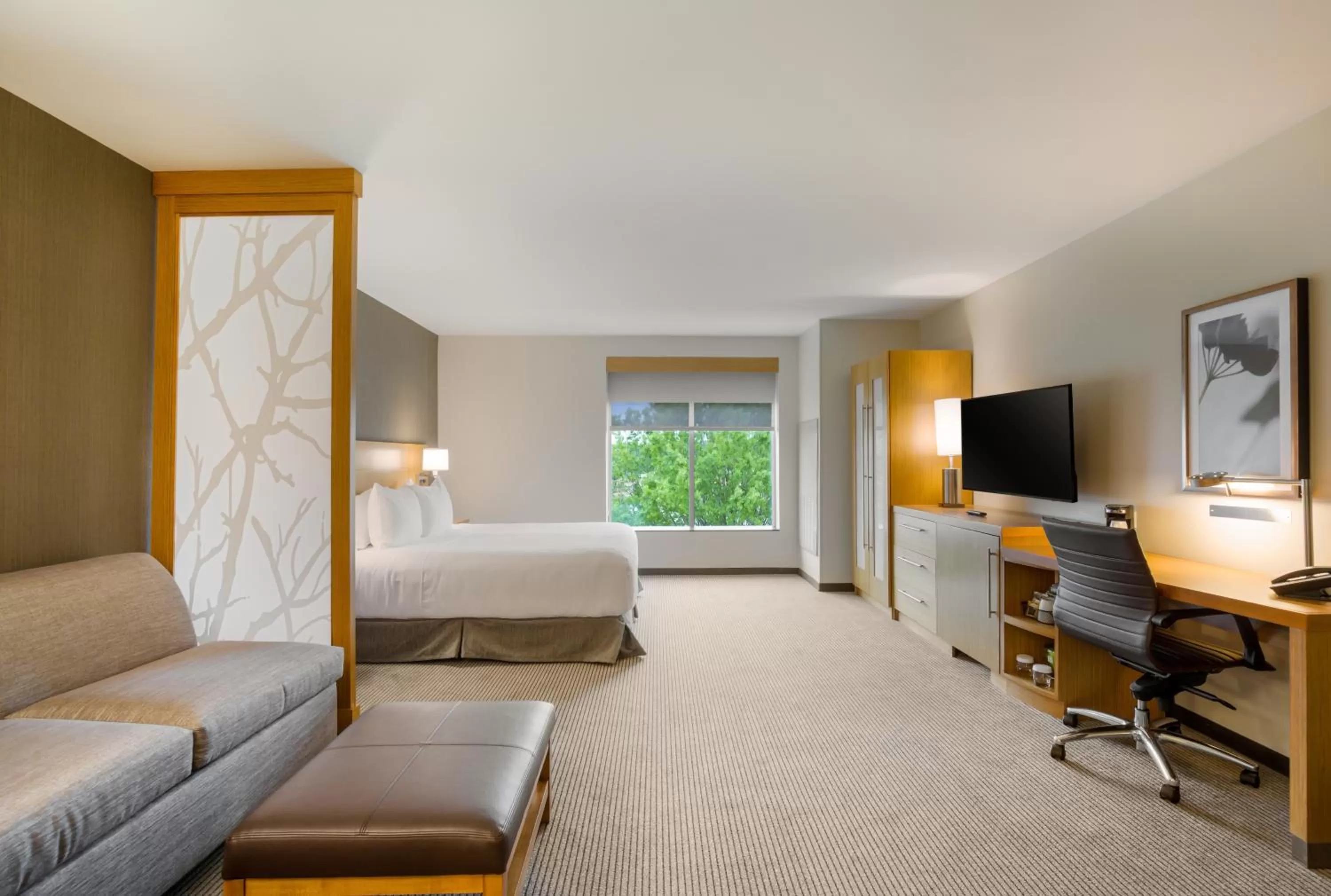 King Room with Accessible Tub - Disability Access in Hyatt Place Hampton Convention Center