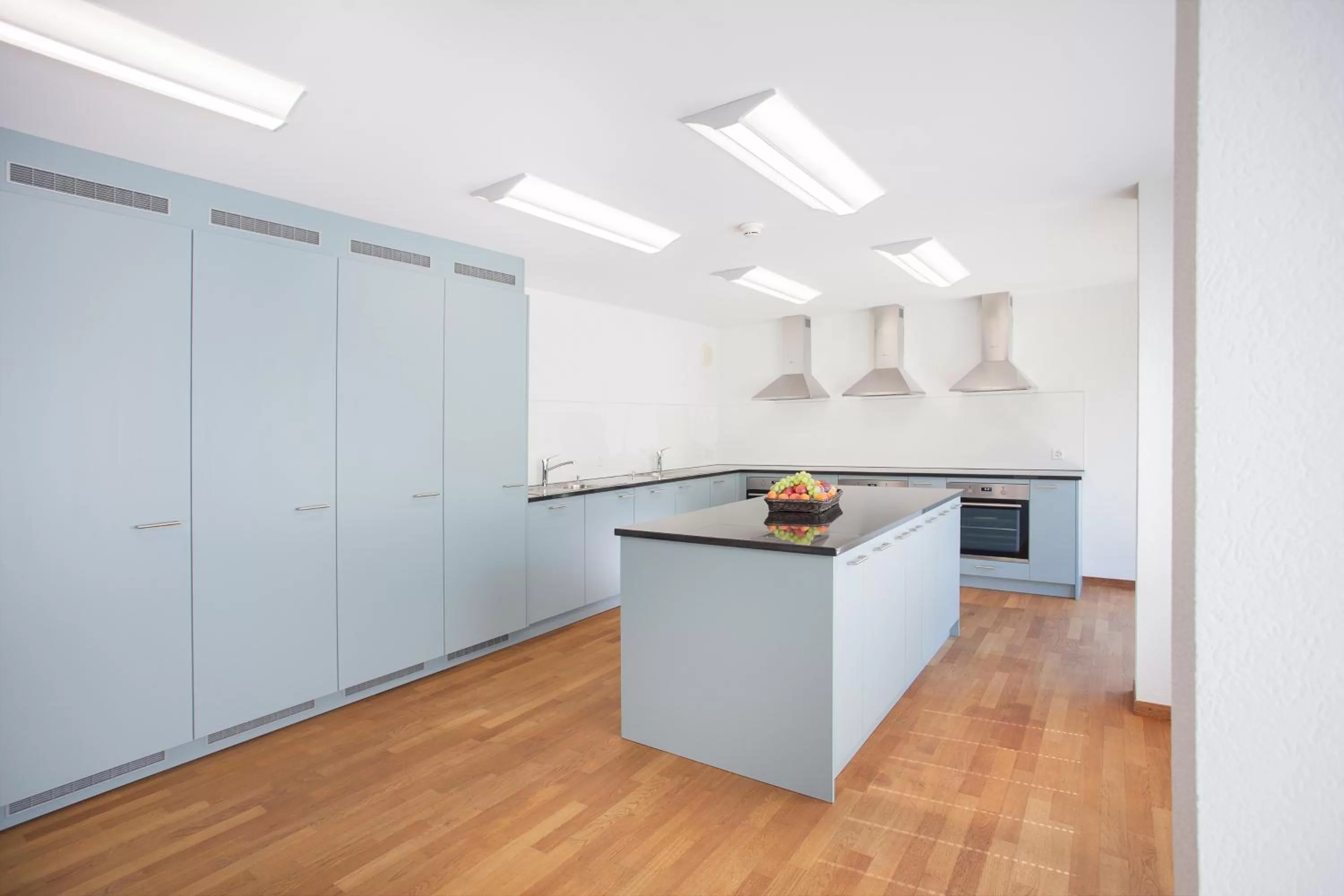 kitchen, Kitchen/Kitchenette in GUESTHOUSE ZURZACH - Self Check-in