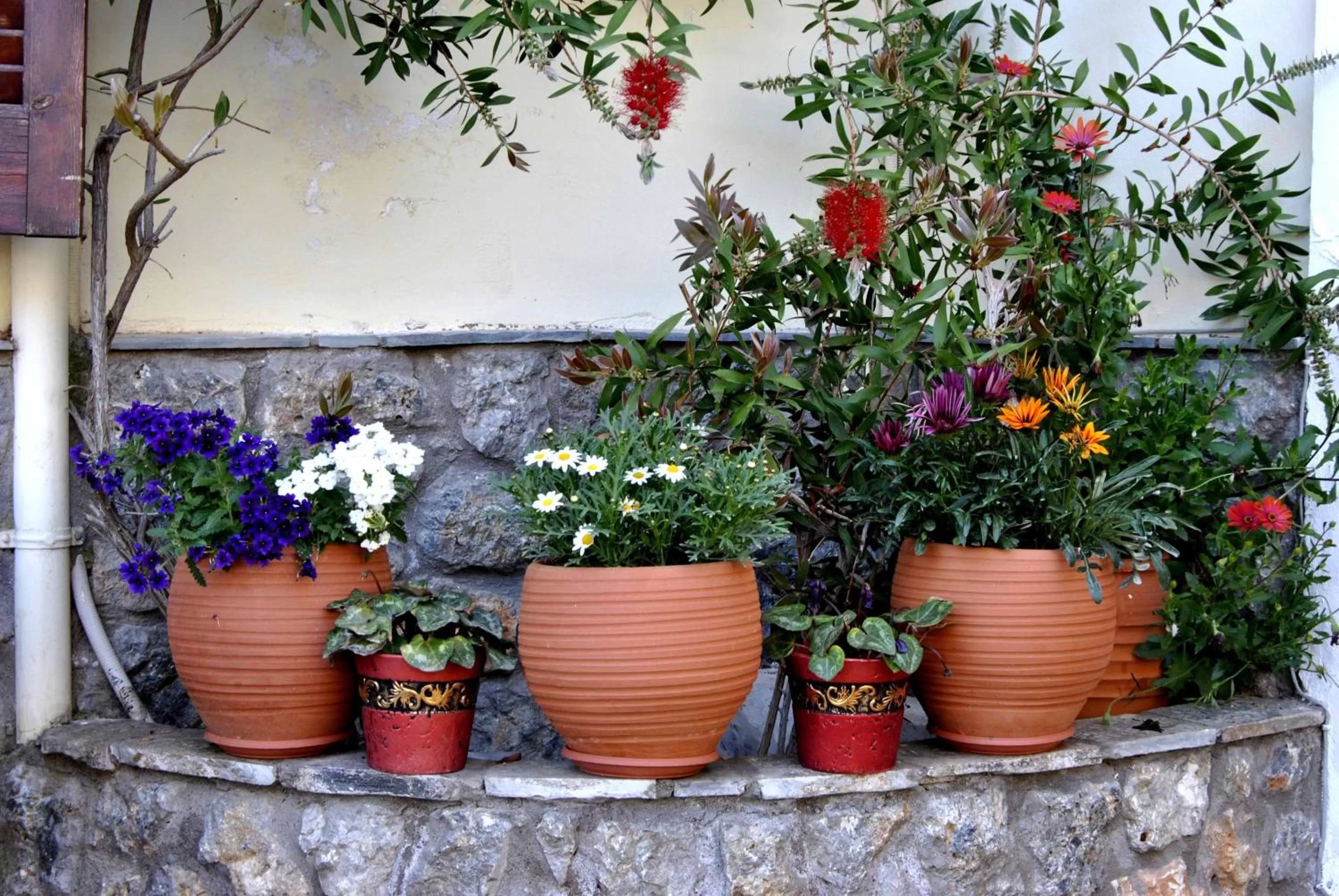 Decorative detail in Filoxenia Studios