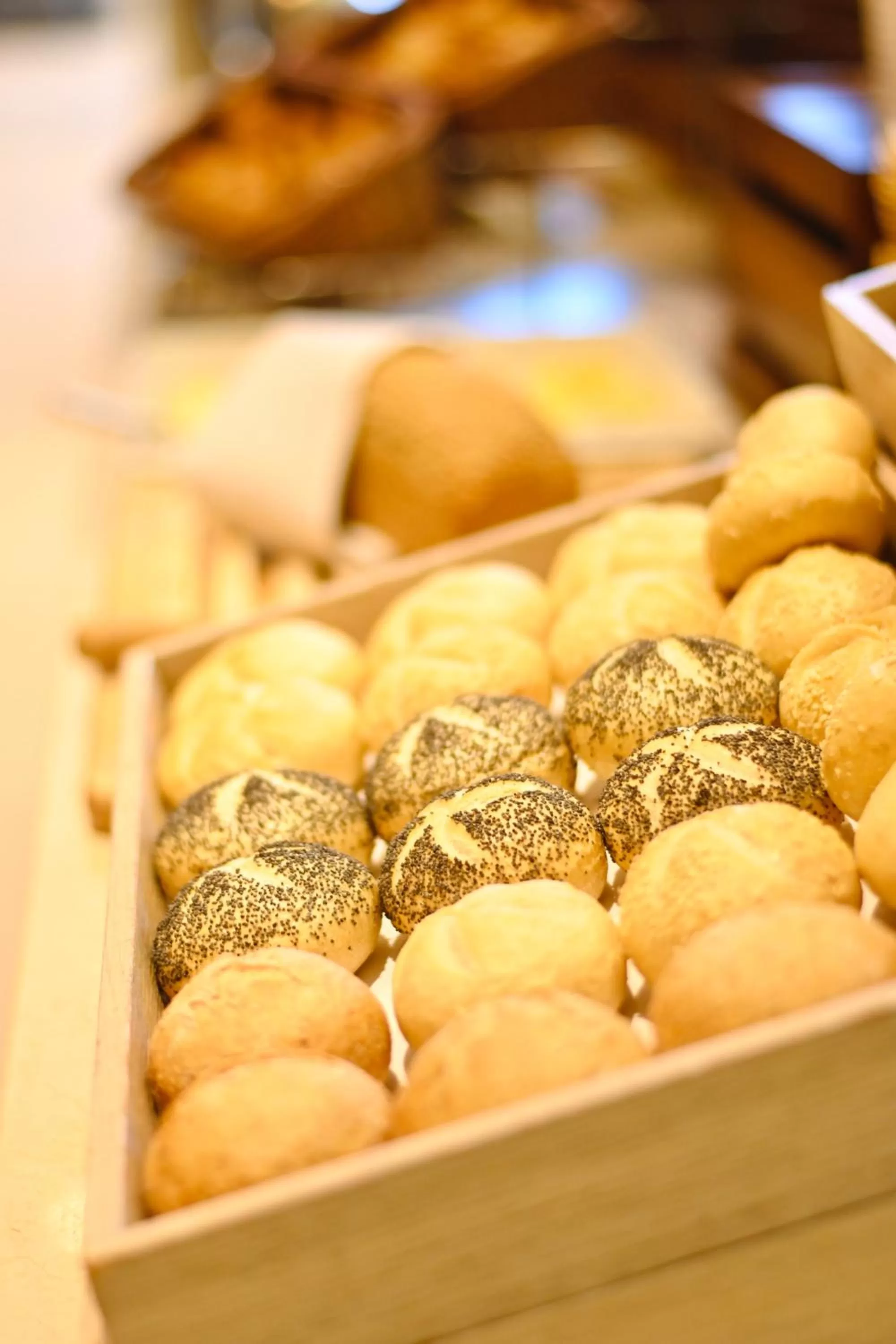 Hotel Sokół Wellness & SPA