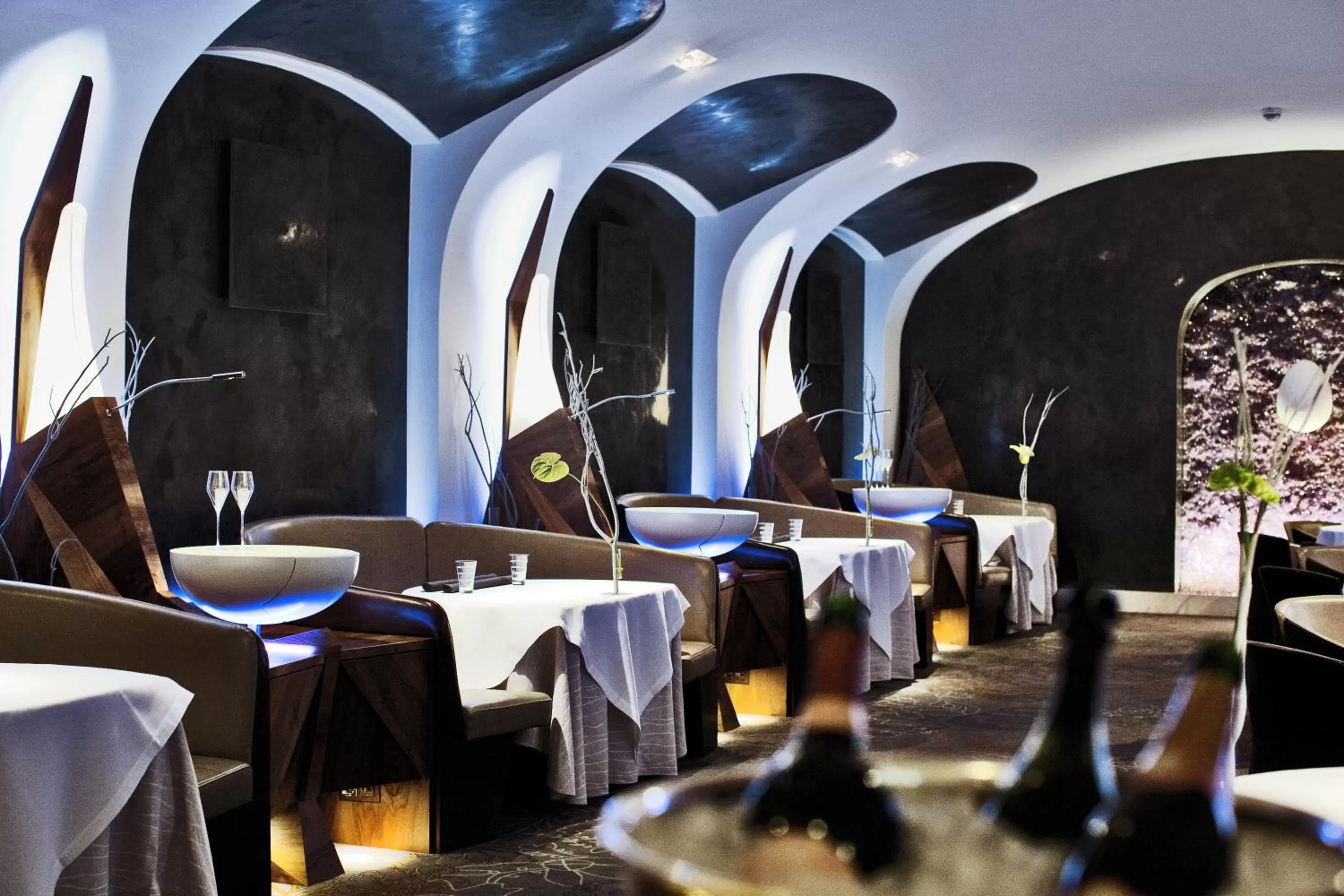 Restaurant/places to eat in Palais Coburg Hotel