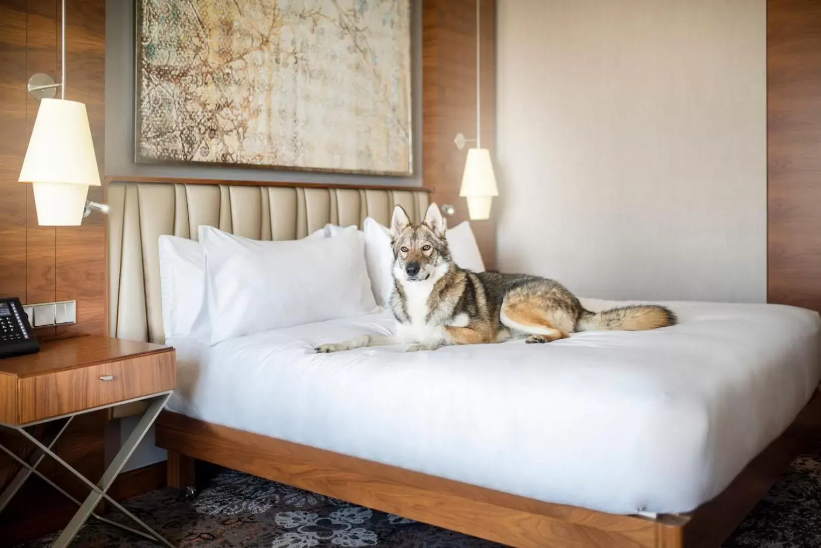 King Room with Sofa Bed in DoubleTree by Hilton Krakow Hotel & Convention Center King Room with Sofa Bed in DoubleTree by Hilton Krakow Hotel & Convention Center