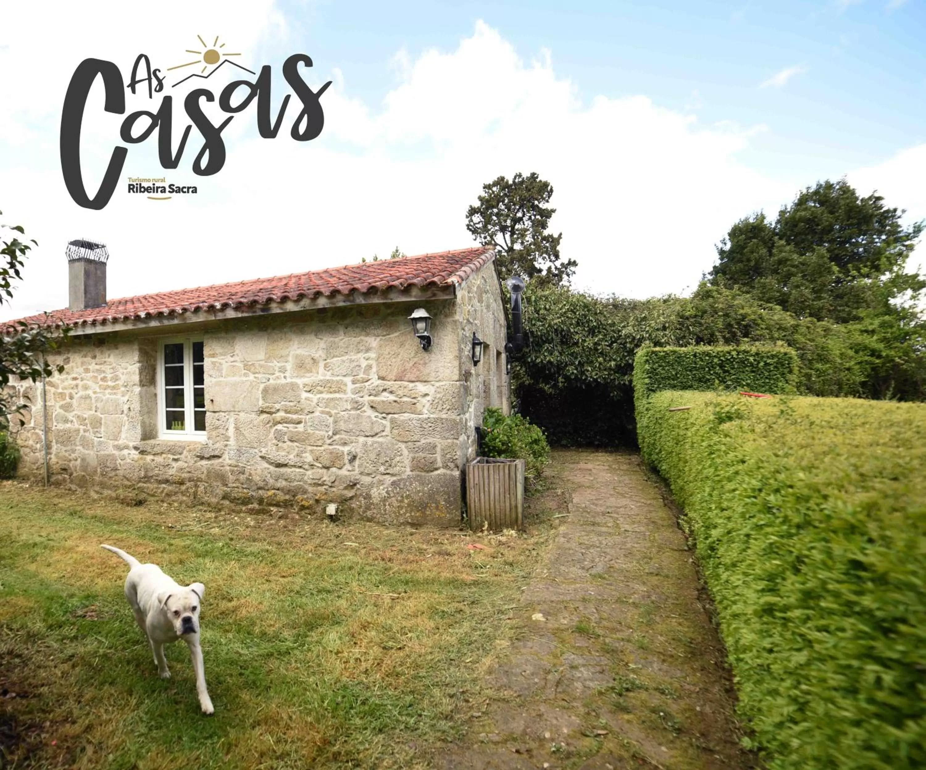 Game Room in As Casas Ribeira Sacra