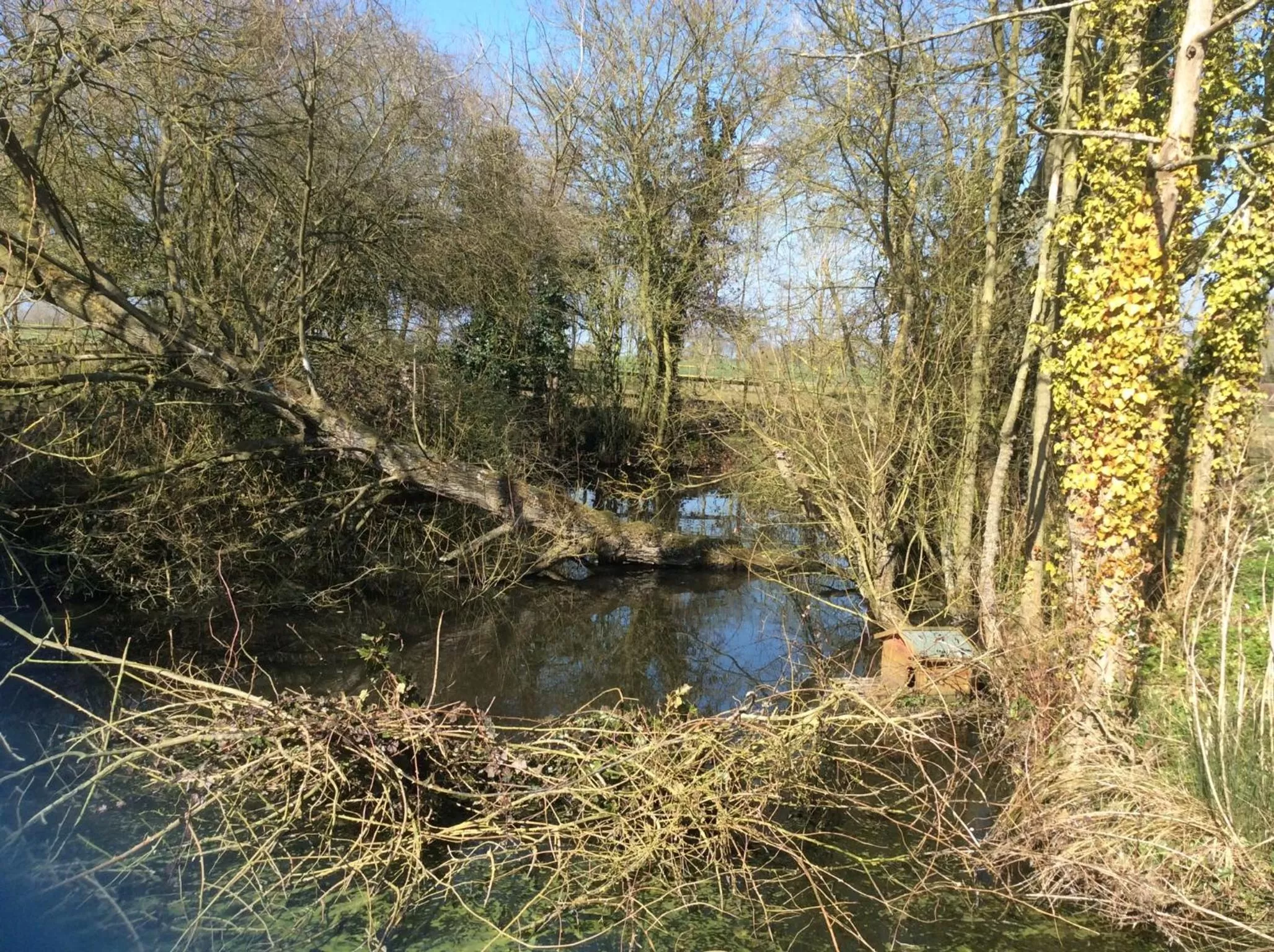 Day, Natural Landscape in Valley Farmhouse B&B