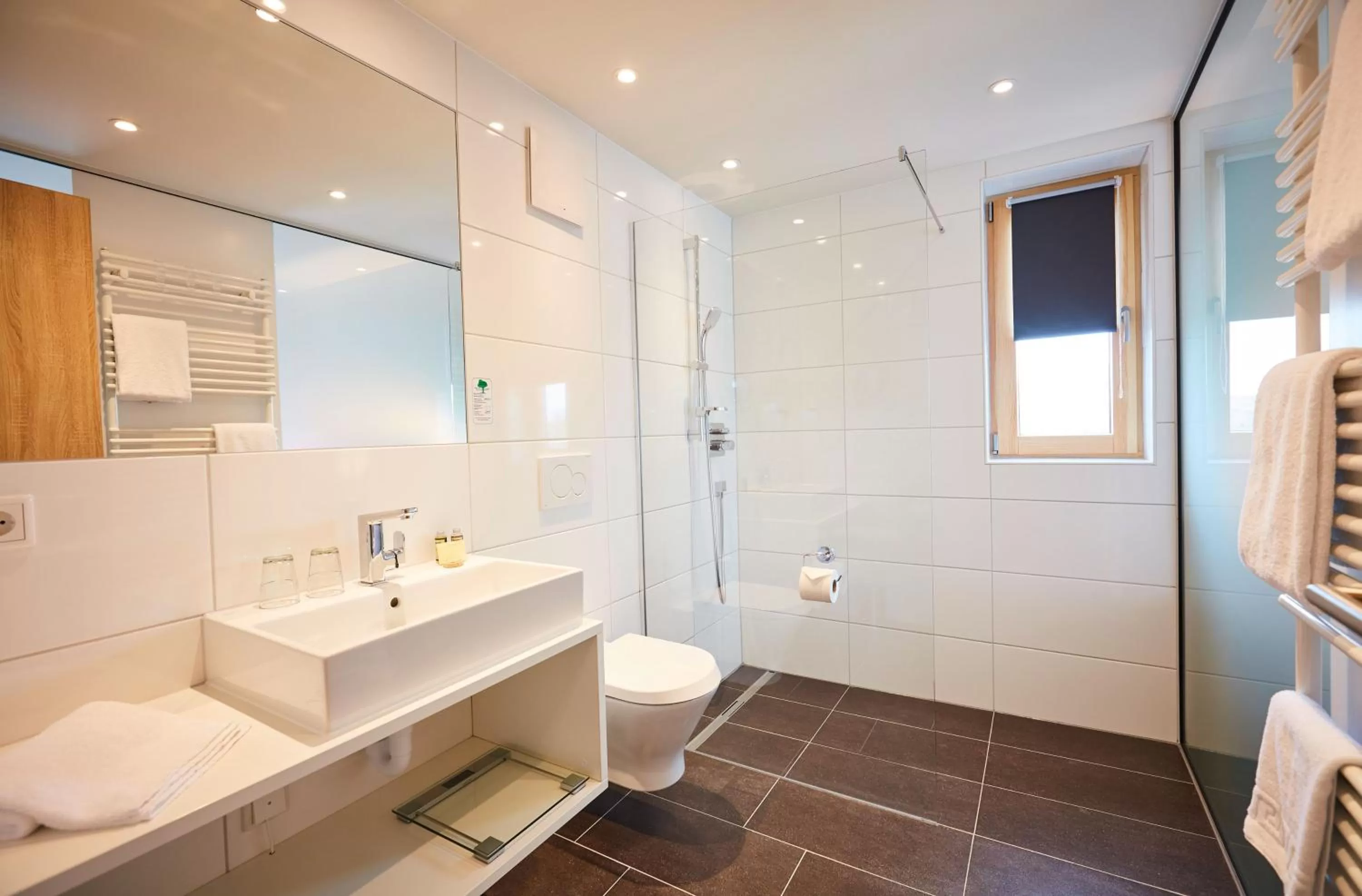 Shower in Vital Hotel an der Therme GmbH