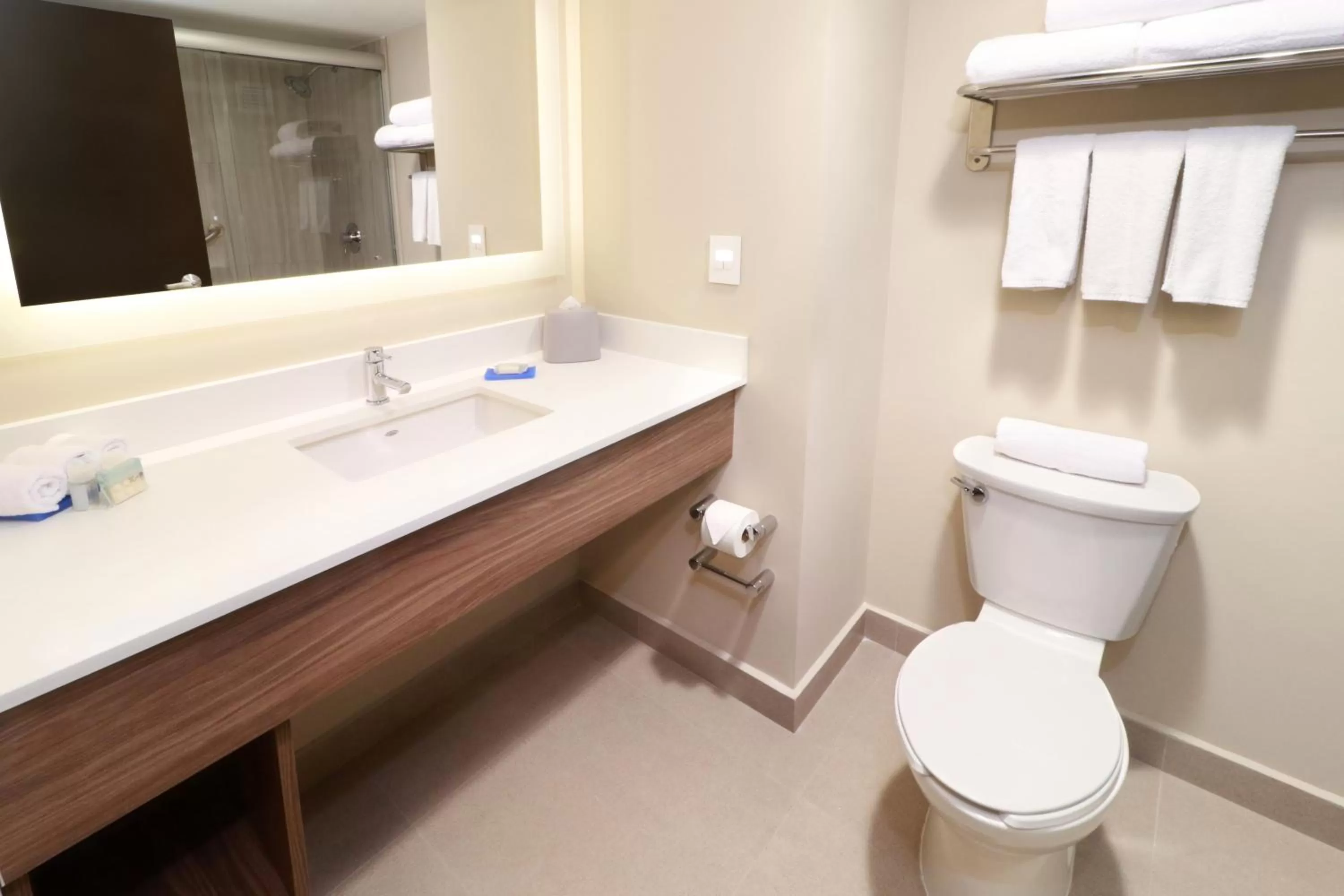 Bathroom in Holiday Inn Express Guadalajara Aeropuerto by IHG