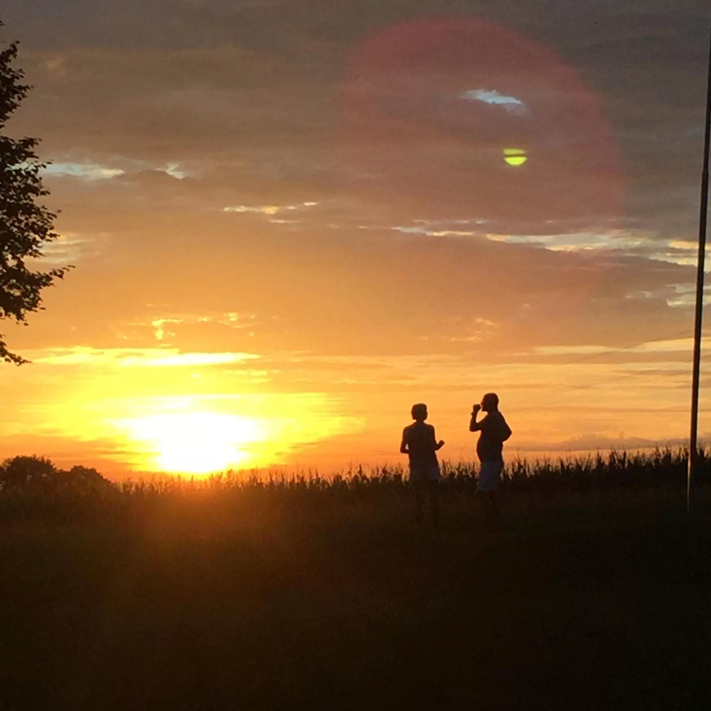 Natural landscape in Hotel Alpenblick
