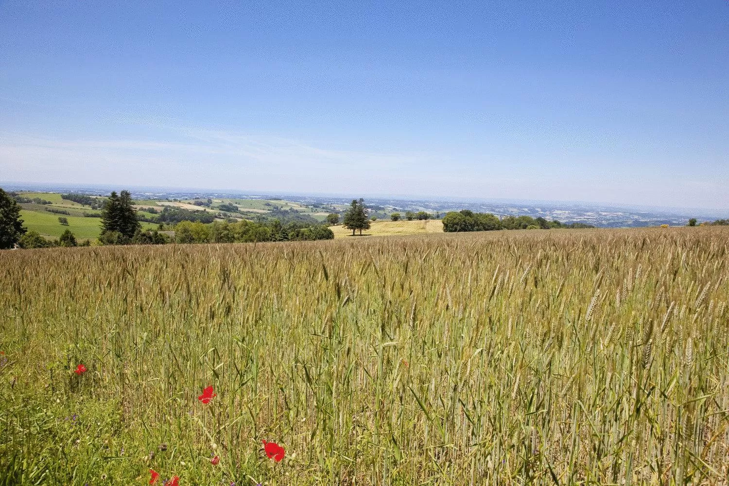 Natural landscape in Logis Hôtel-Restaurant Le Commerce