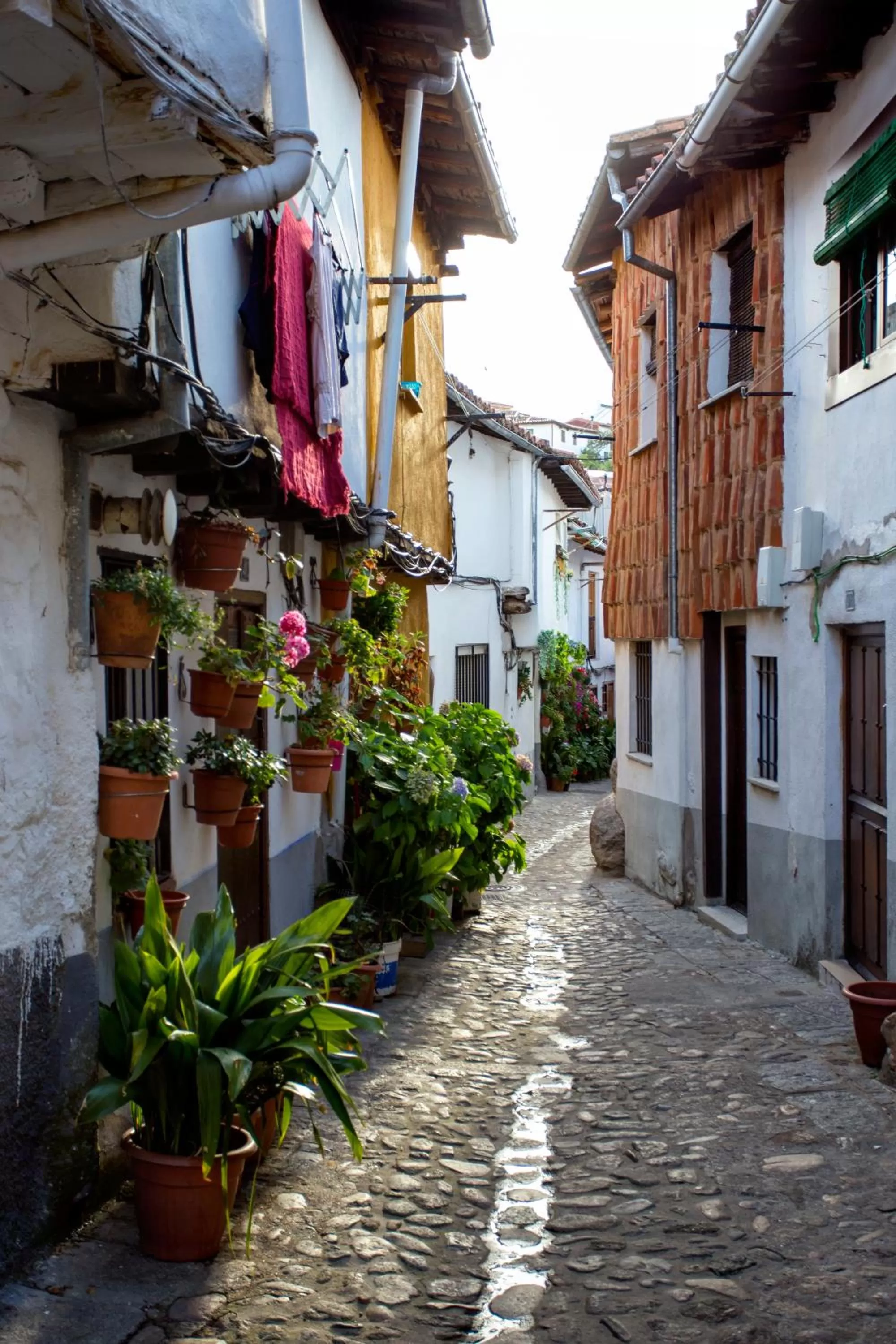 Nearby landmark in Hotel Valle del Ambroz