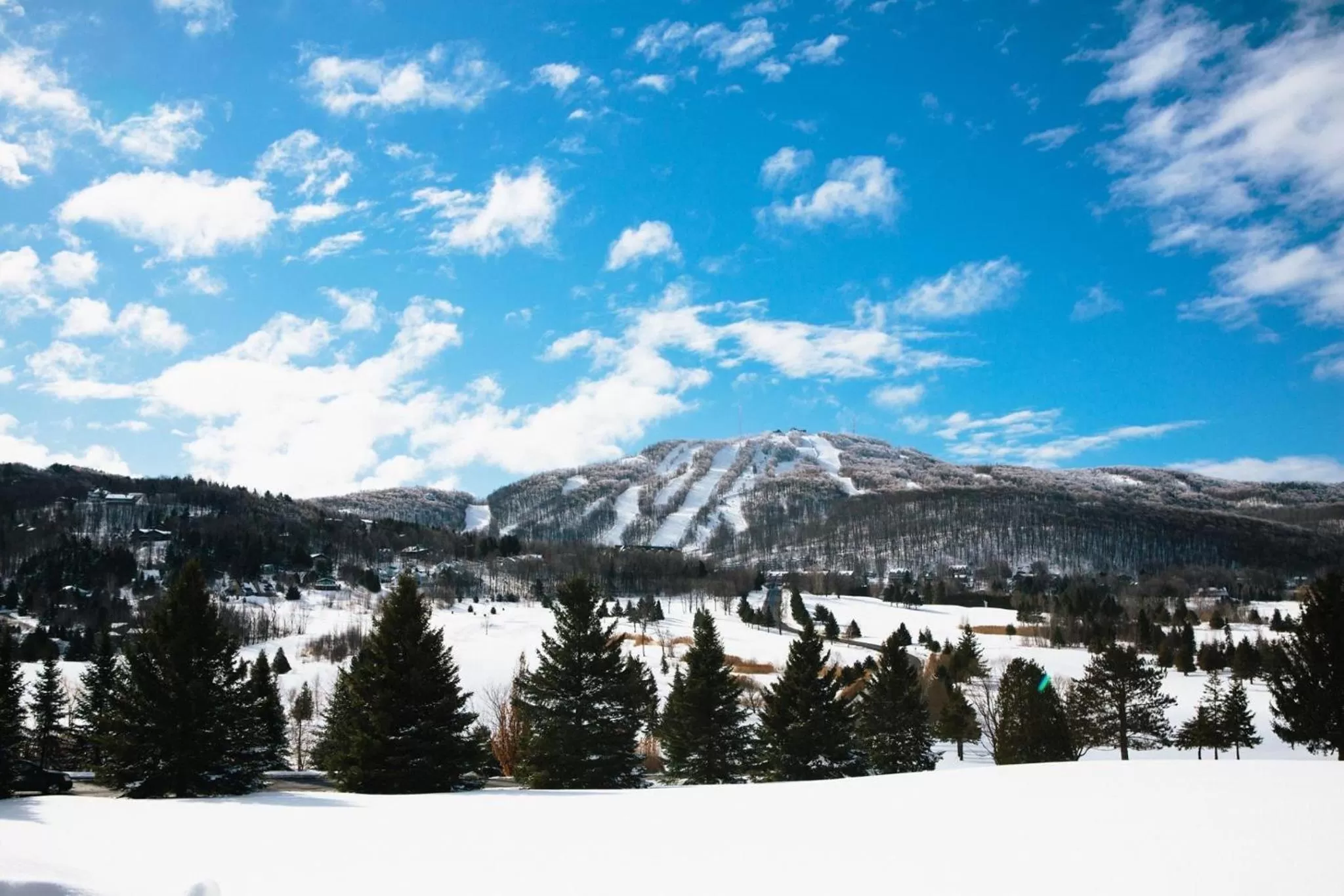 Skiing in Au Gré Du Temps - Gîte B&B