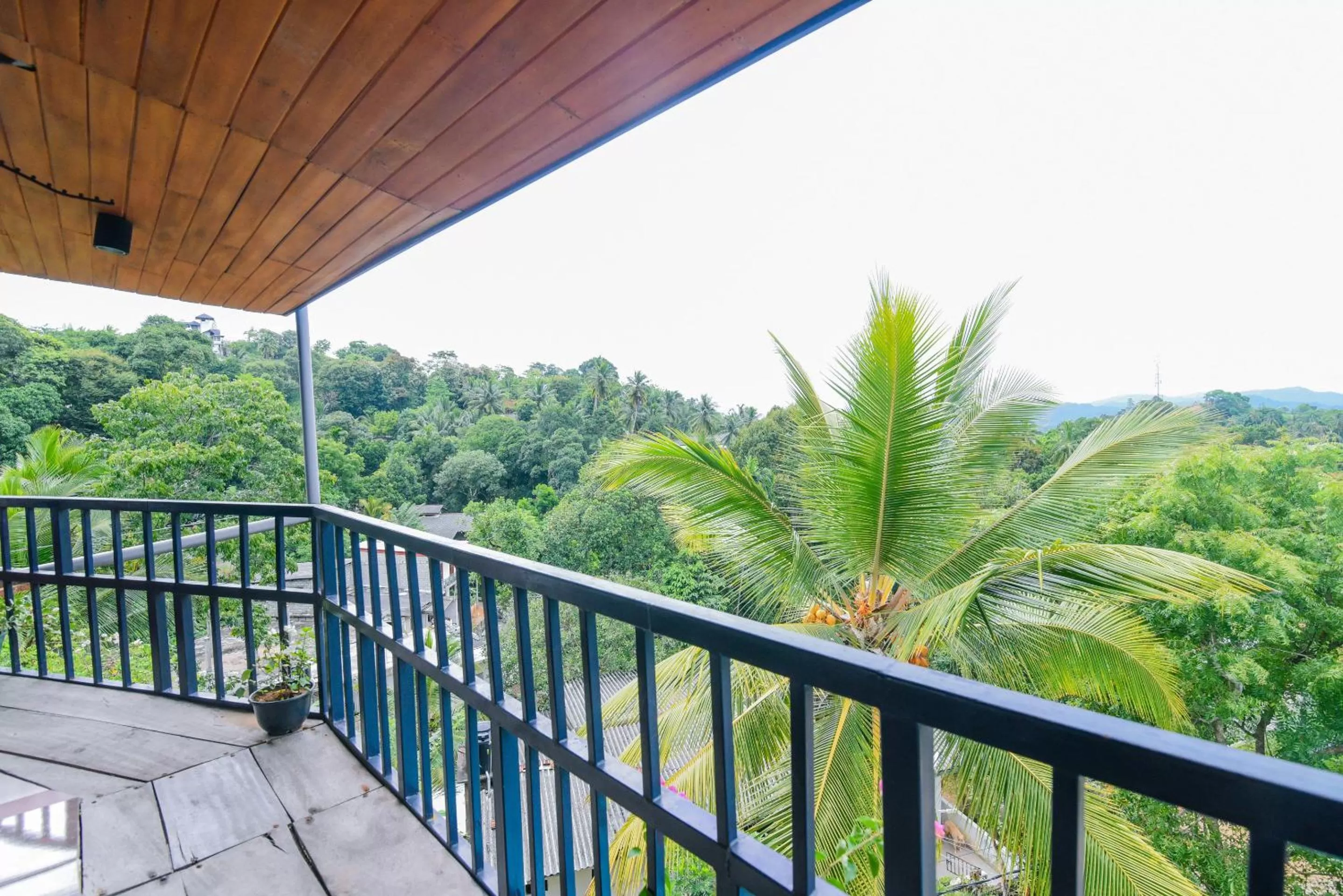 Balcony/Terrace in Blue Haven Guest House