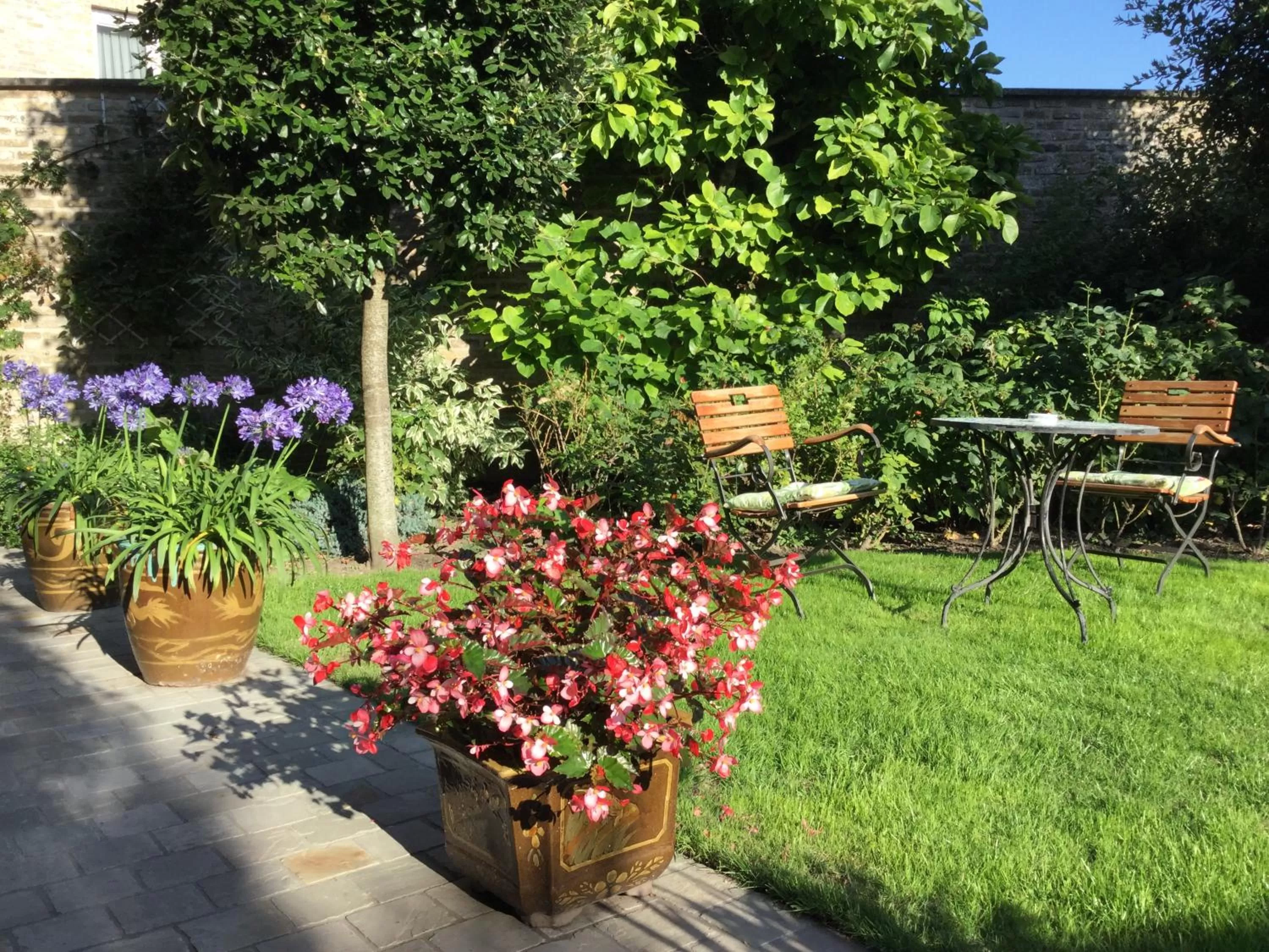 Garden in B&B Auberge De Klasse