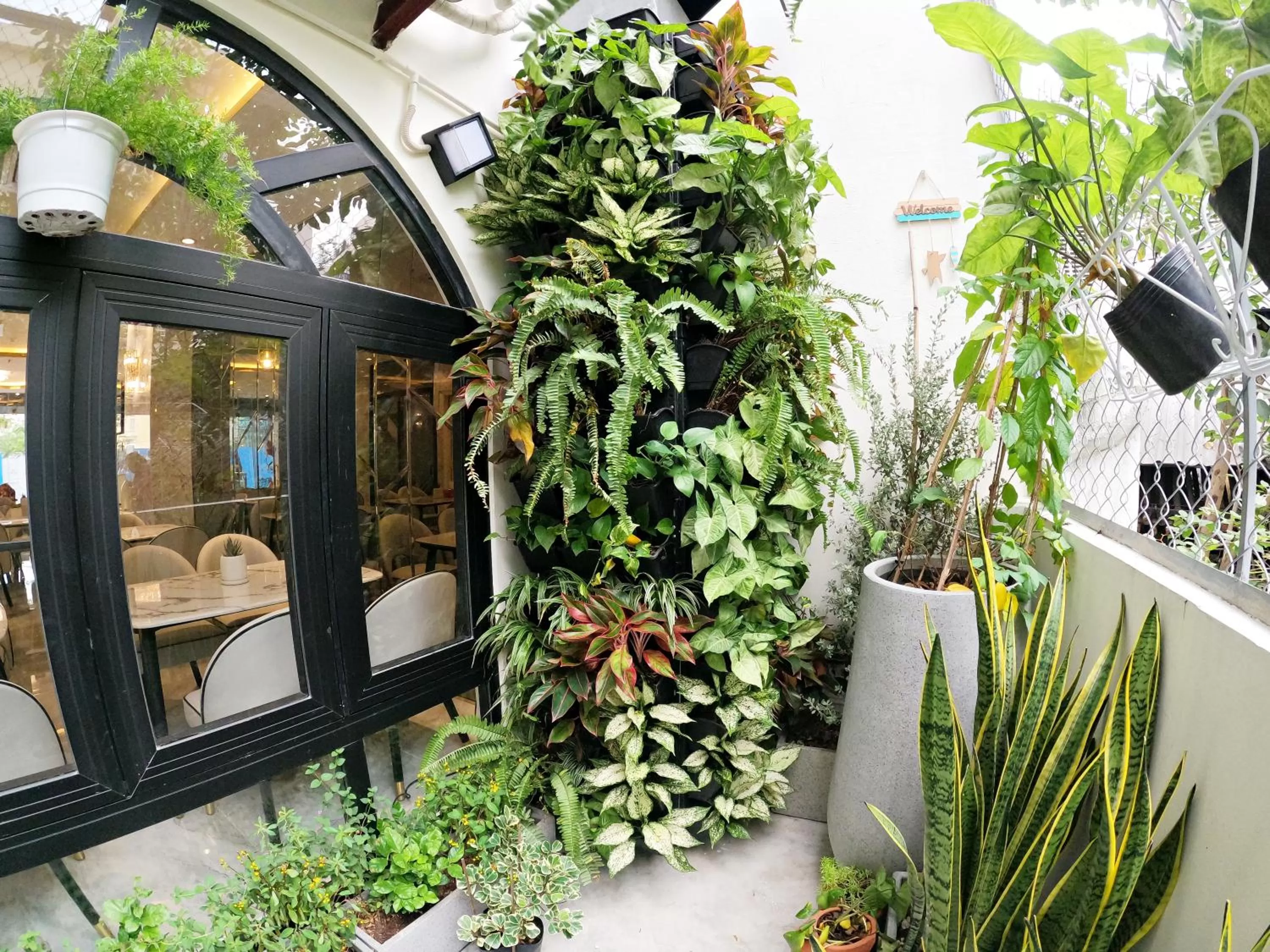 Garden in Dinh Phat Hotel