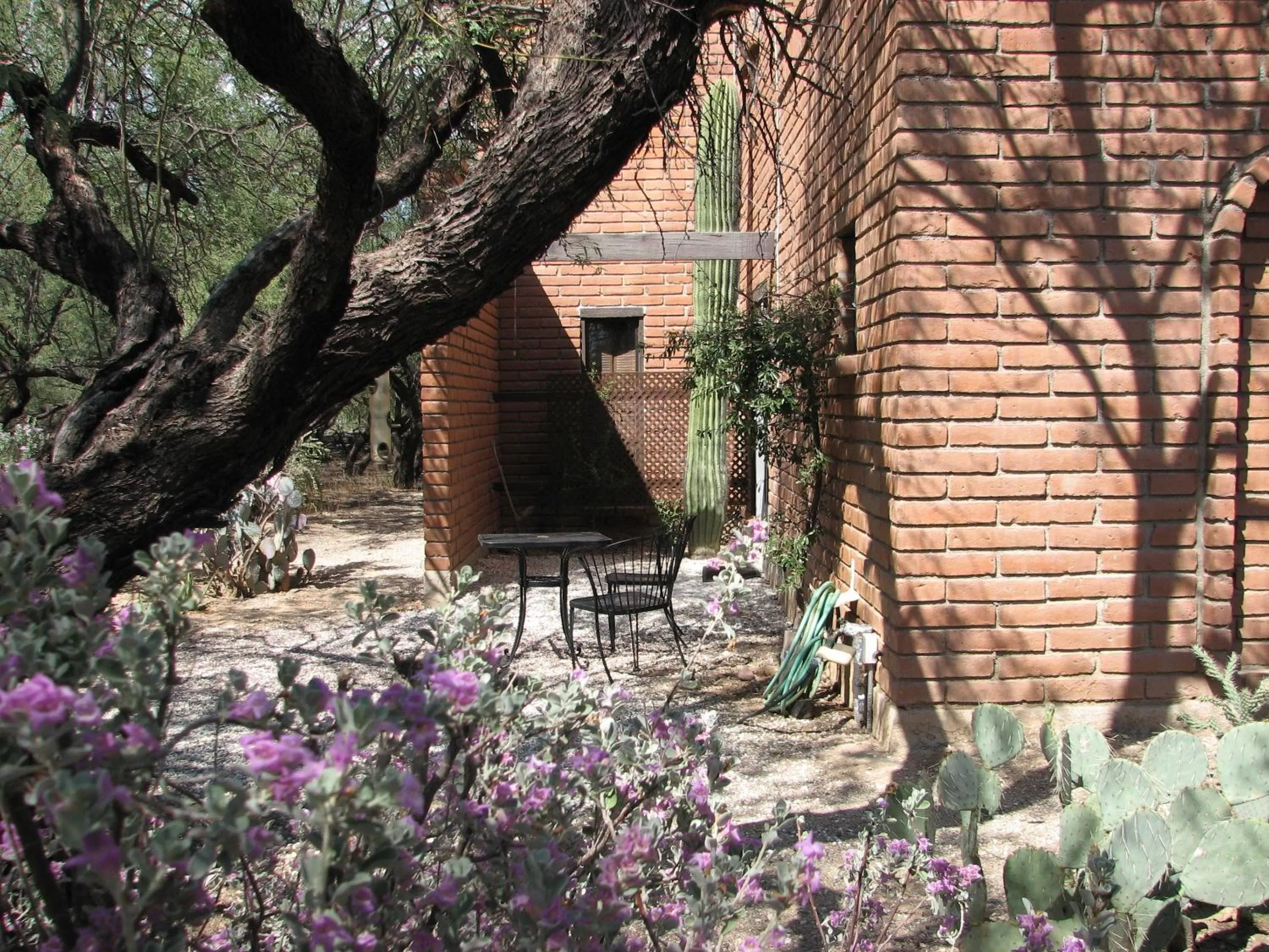 Patio, Property Building in Desert Trails Bed & Breakfast