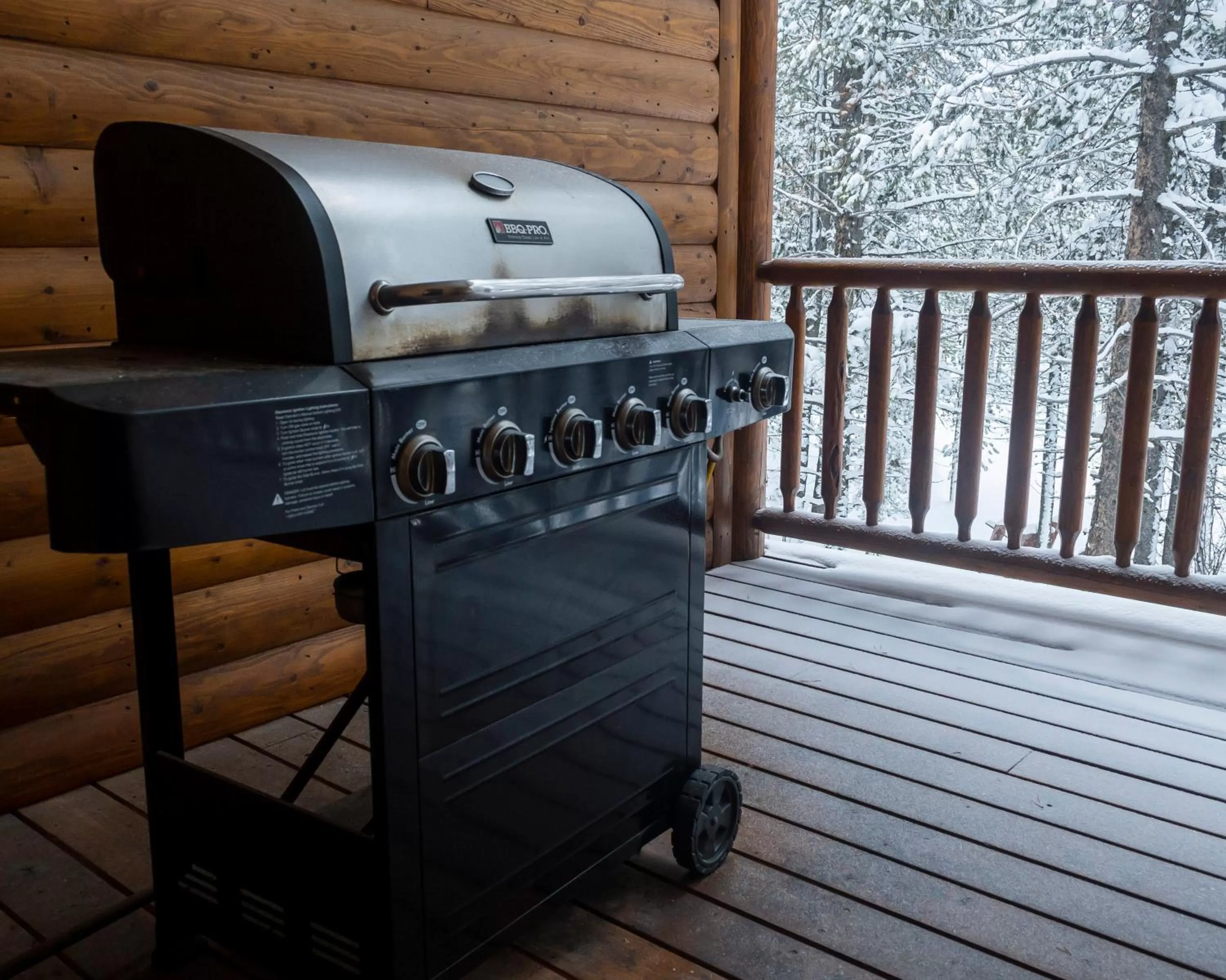 BBQ facilities in Sawtelle Mountain Resort