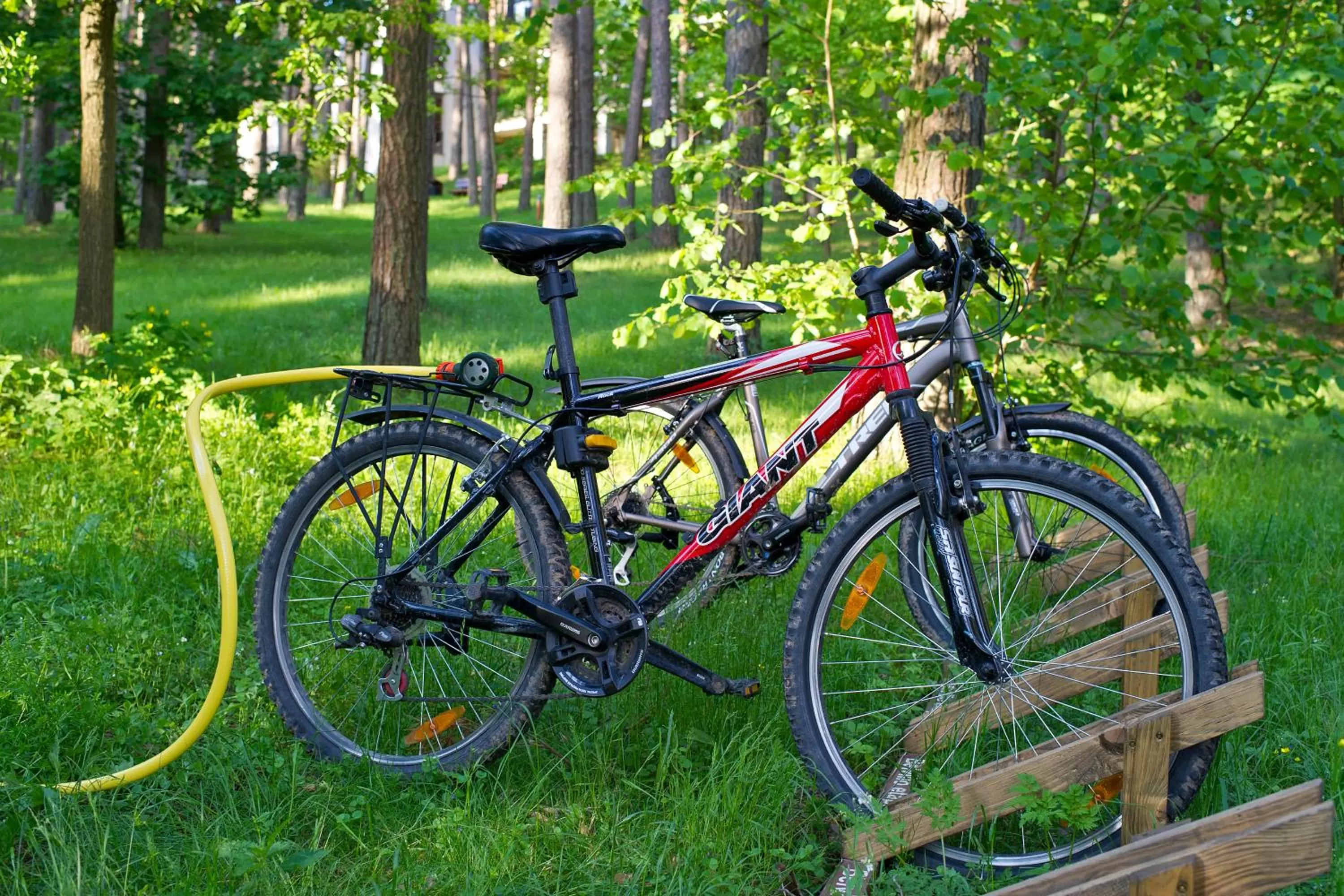 Other in Belvilis Hotel