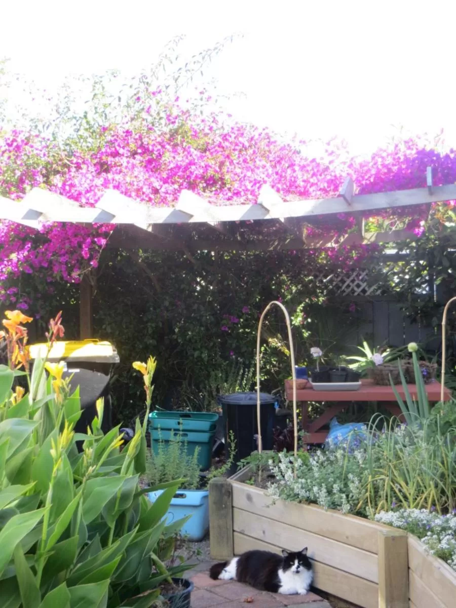 Staff in Cotswold Cottage Bed and Breakfast