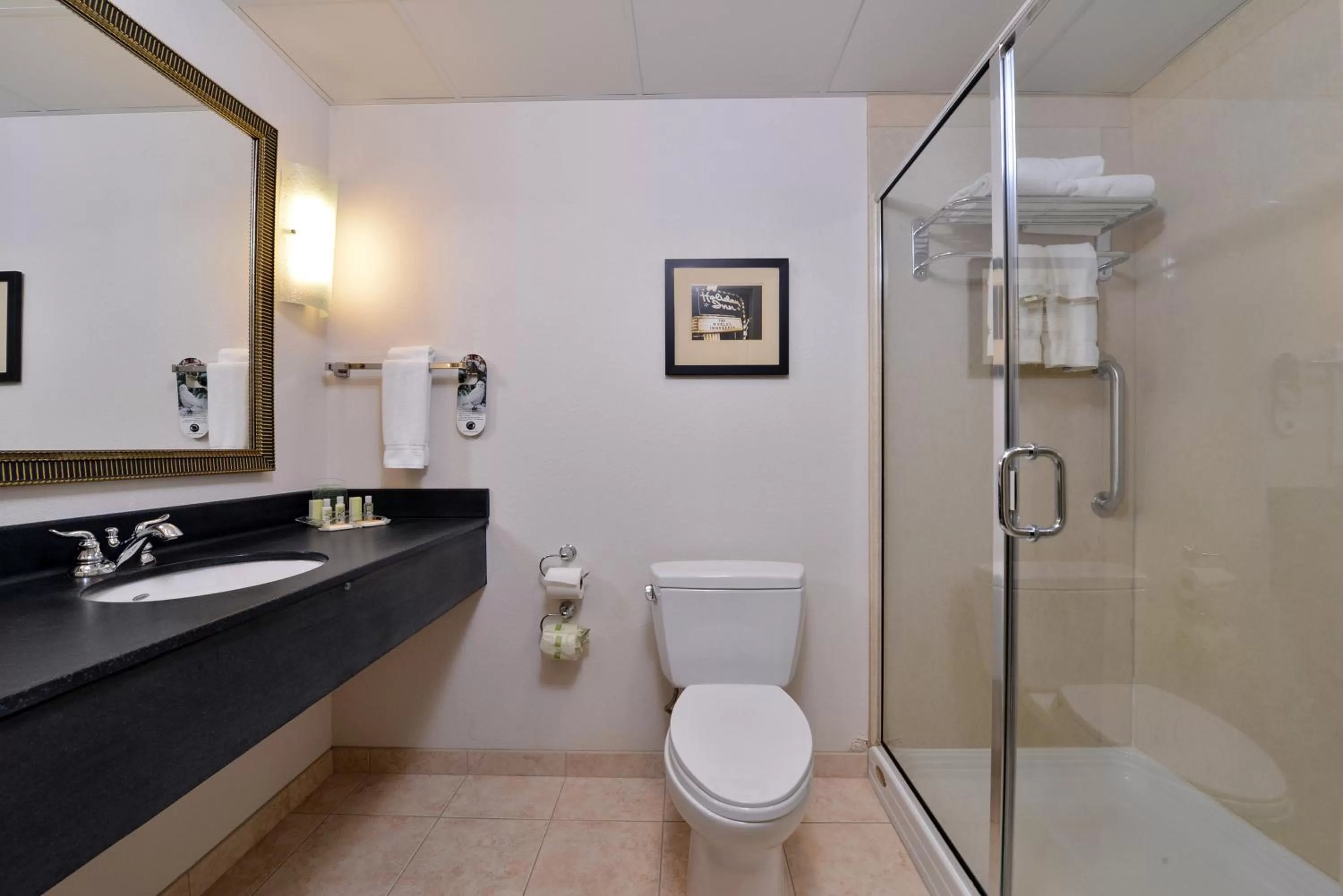 Bathroom in Holiday Inn Madison at The American Center by IHG