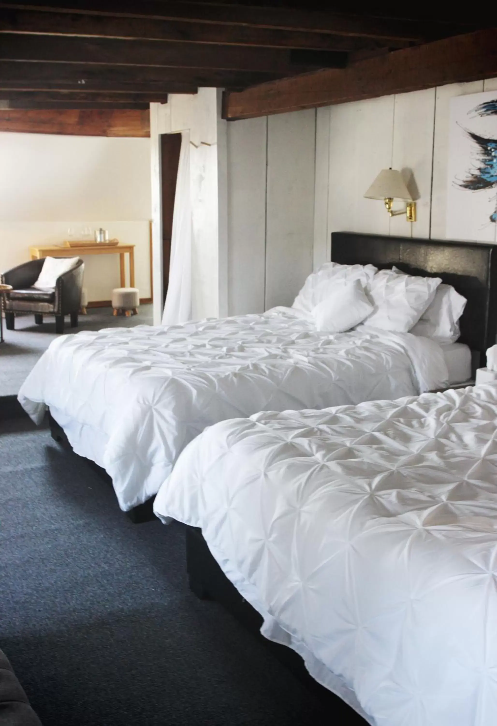 Large Studio Suite in Copper Swan Large Studio Suite in Copper Swan