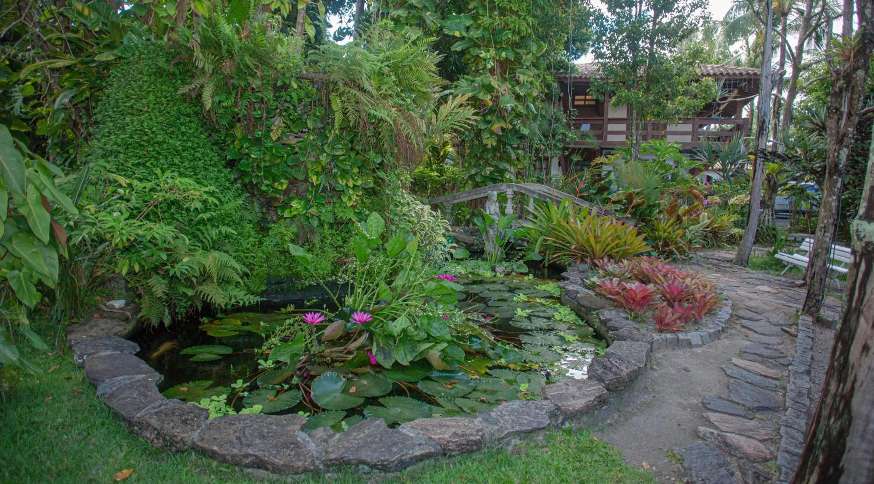 Garden in Hotel Solar do Imperador