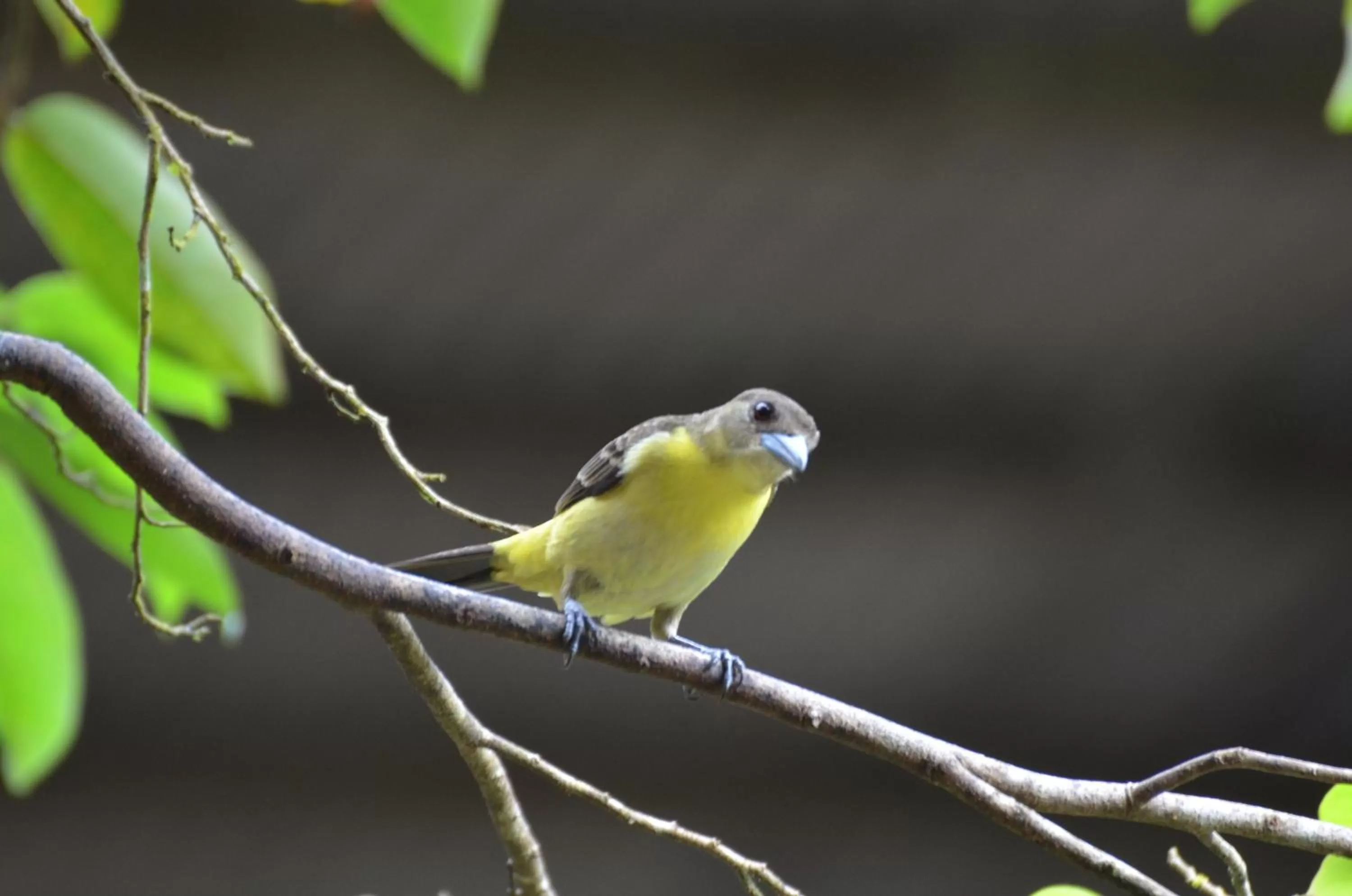 Property building, Other Animals in Posada Turística Rocas De Cabo Marzo