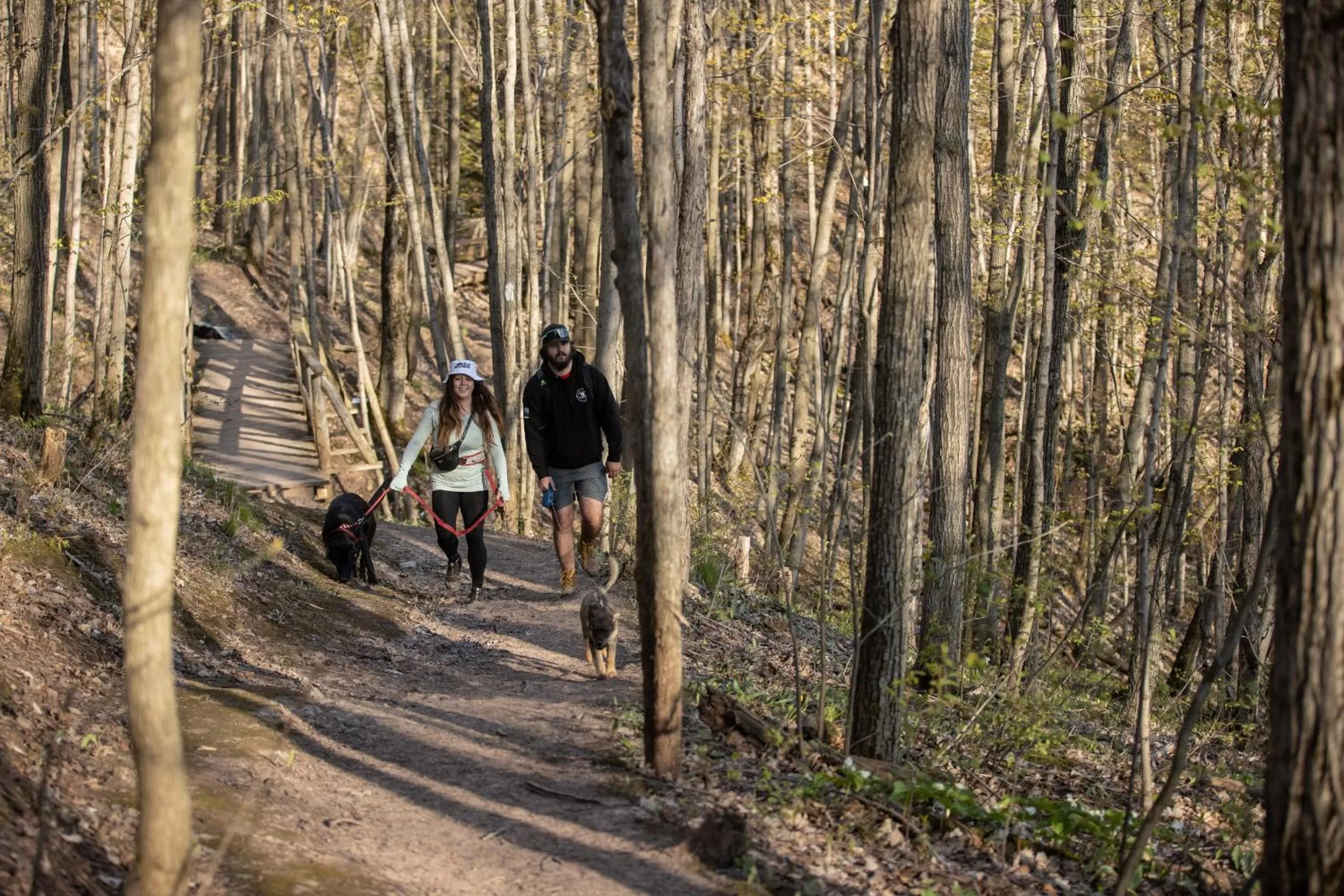 Natural landscape in Blue Mountain Resort Home Collection