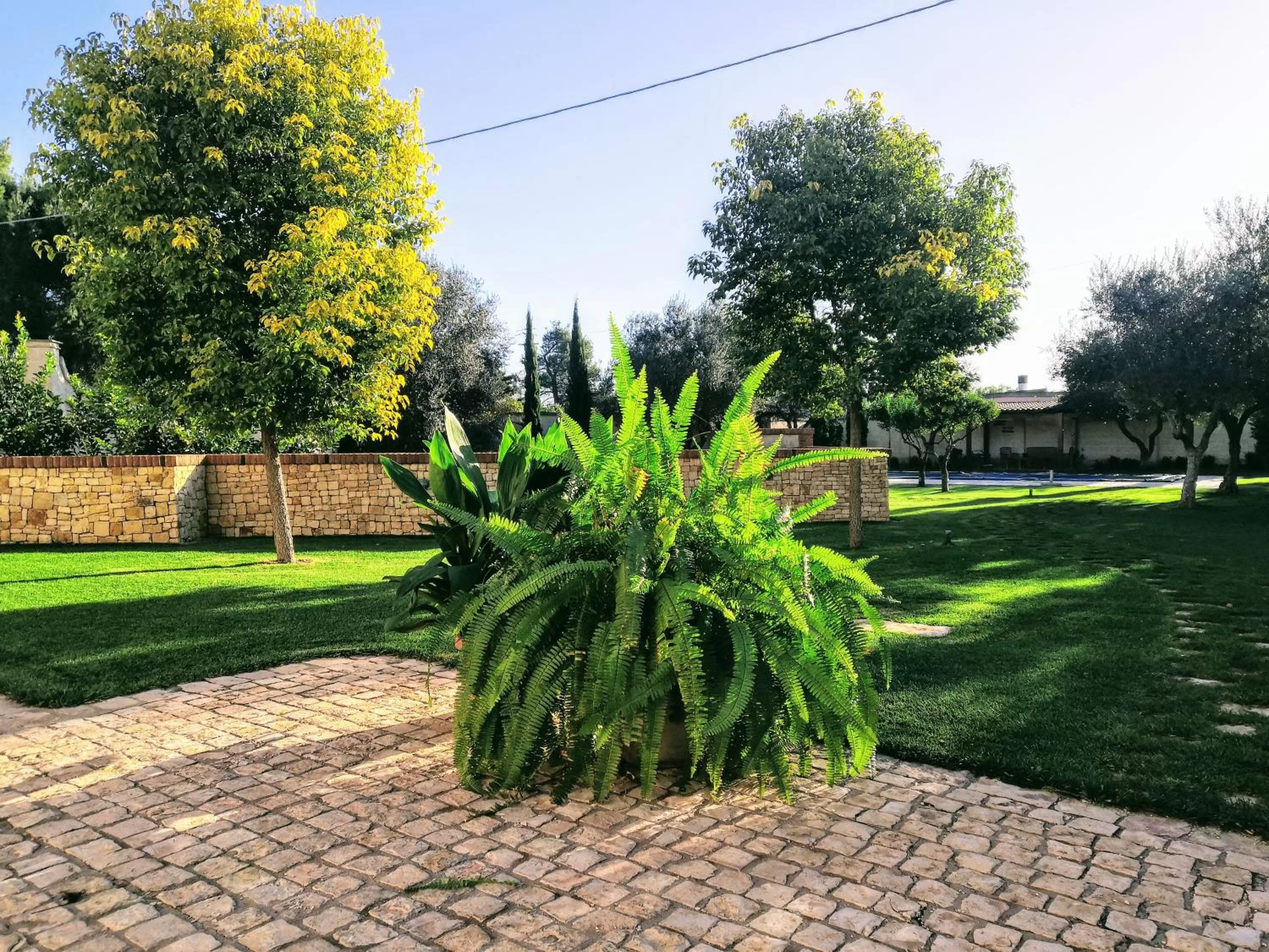 Garden in BORGO LUNA b&b