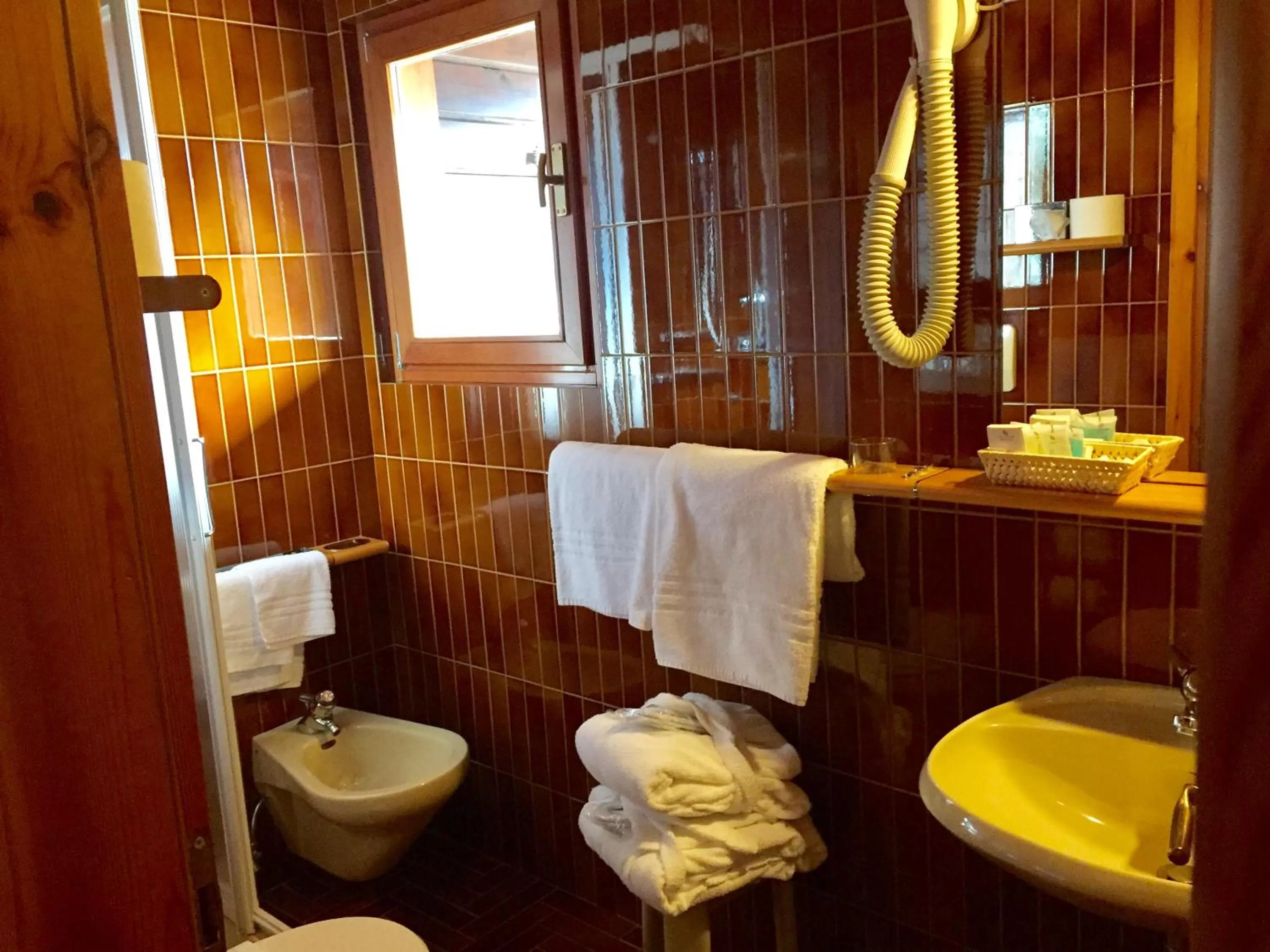 Shower in Park Hotel Villa Trunka Lunka