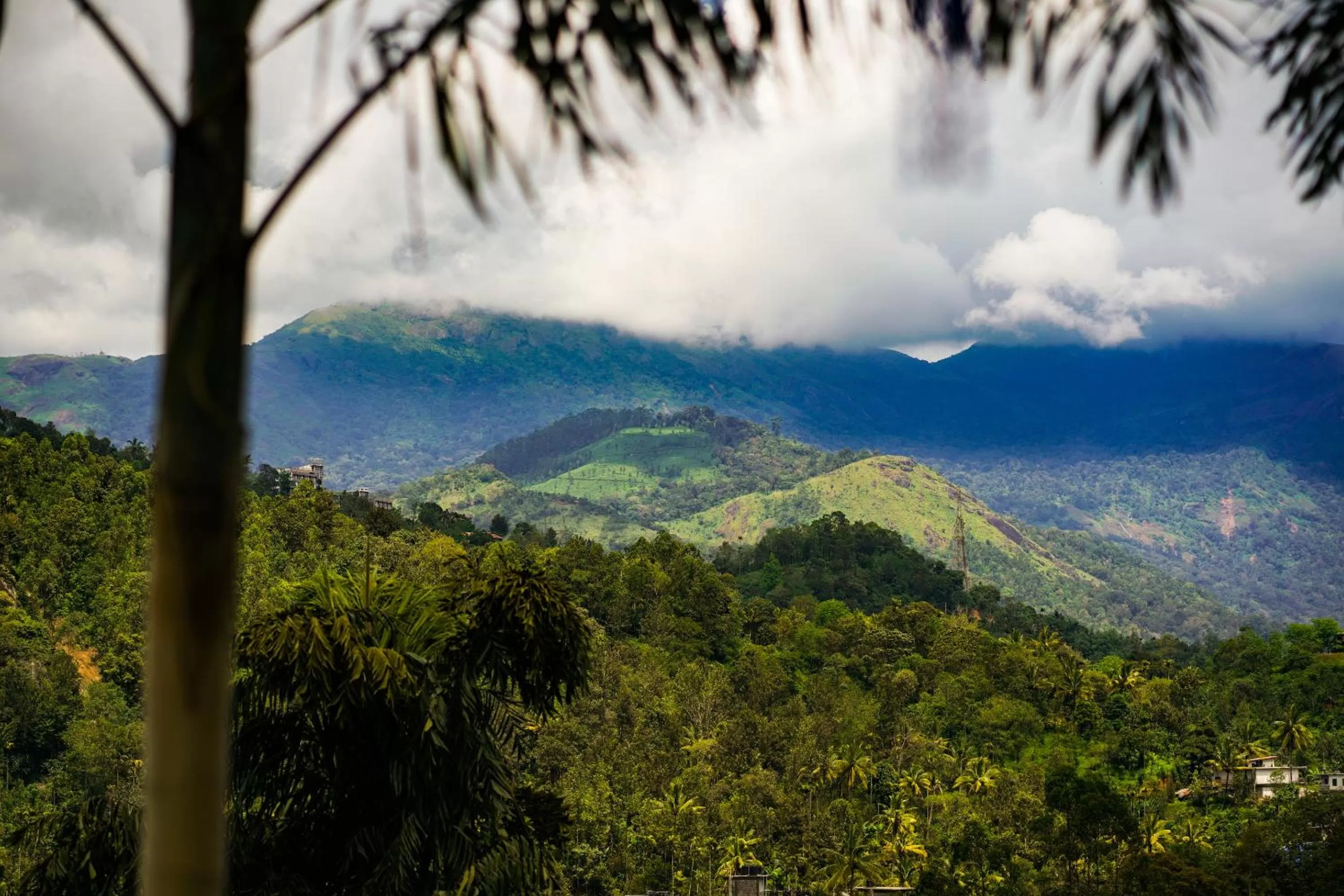 Mountain view in Munnar Blue Mist