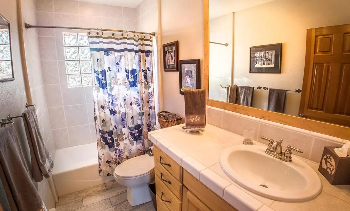 Bathroom in Elktrace Bed and Breakfast