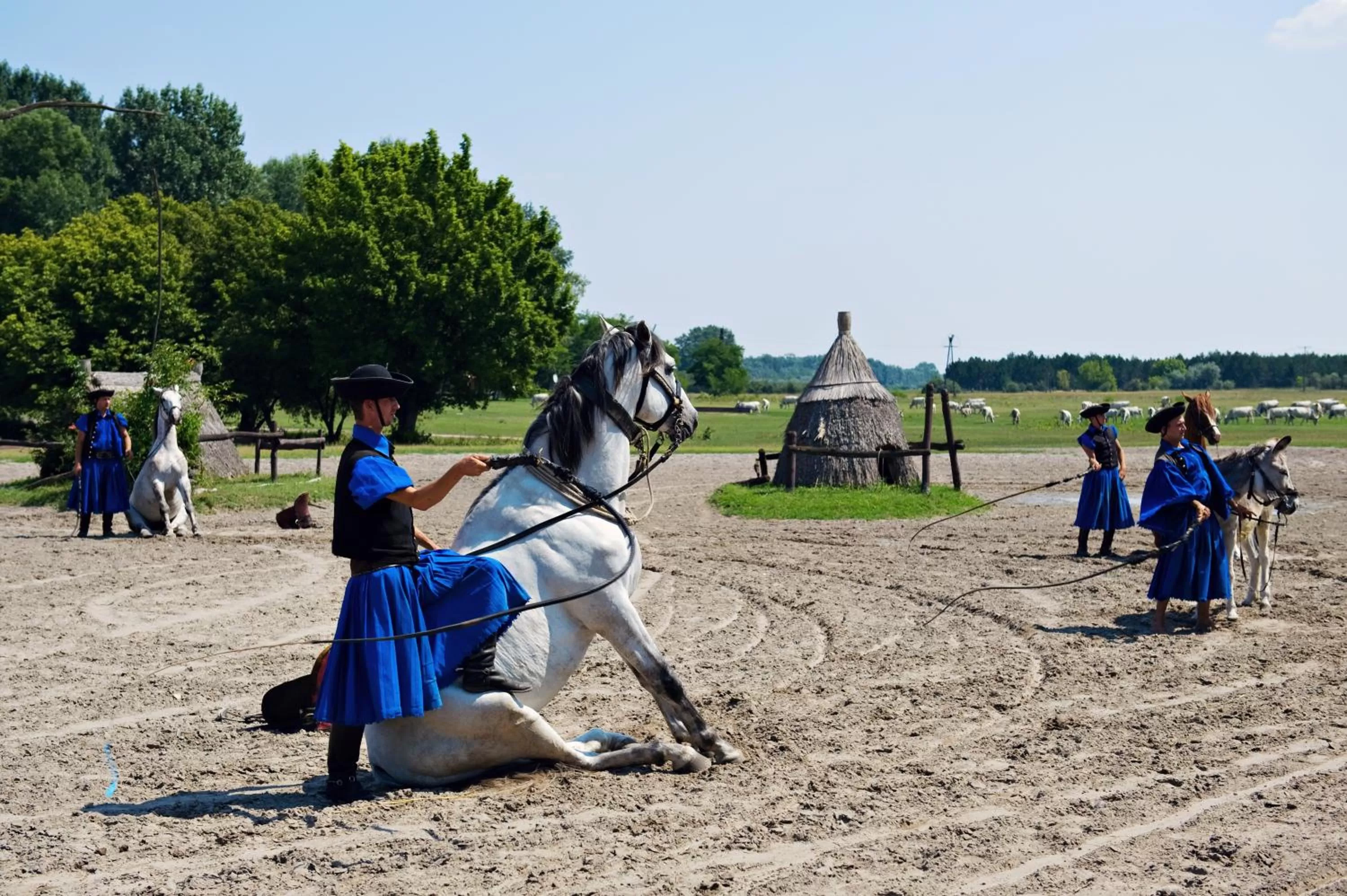 Day in Varga Tanya Hotel
