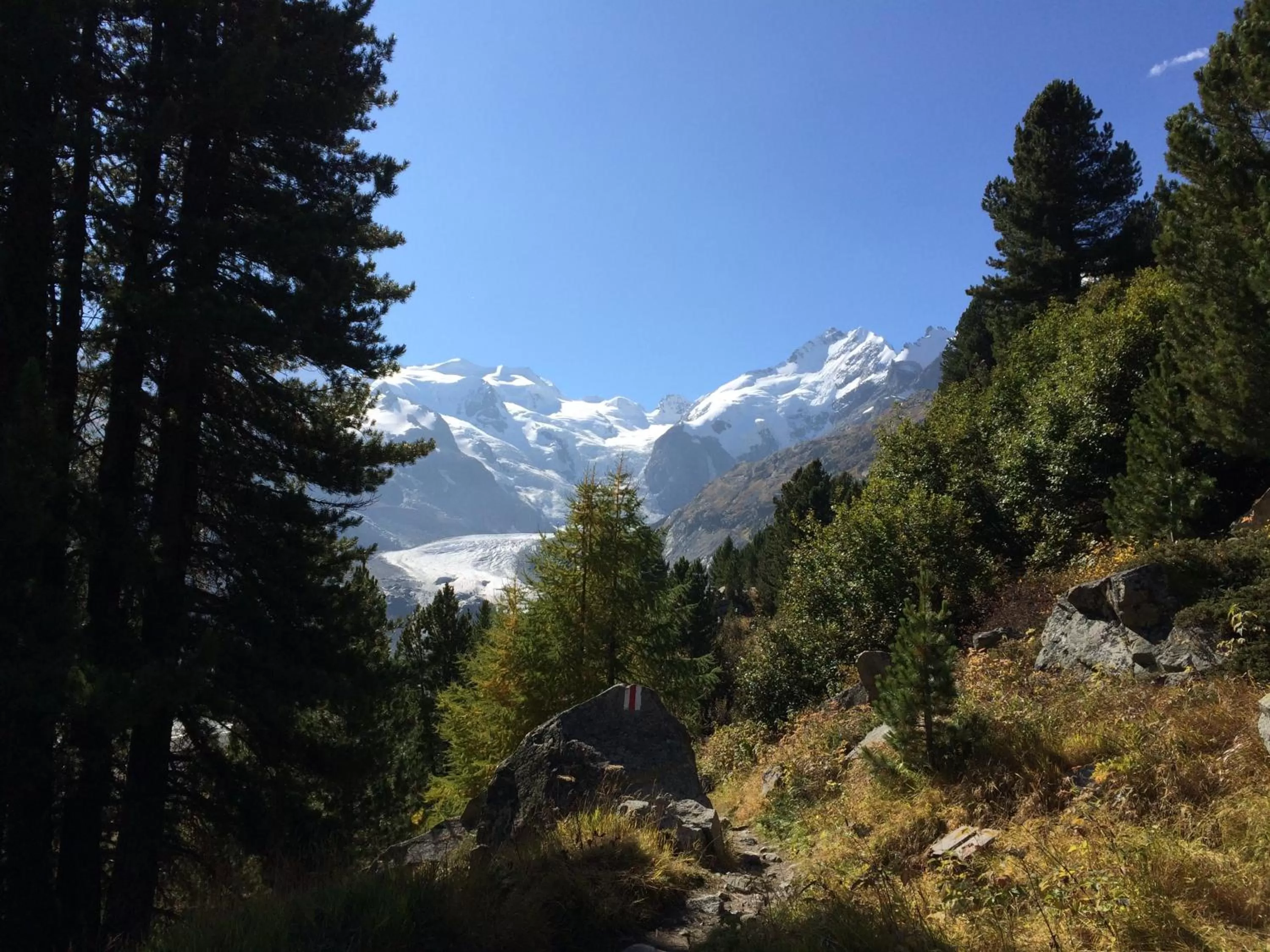 Natural landscape in Hotel Bernina