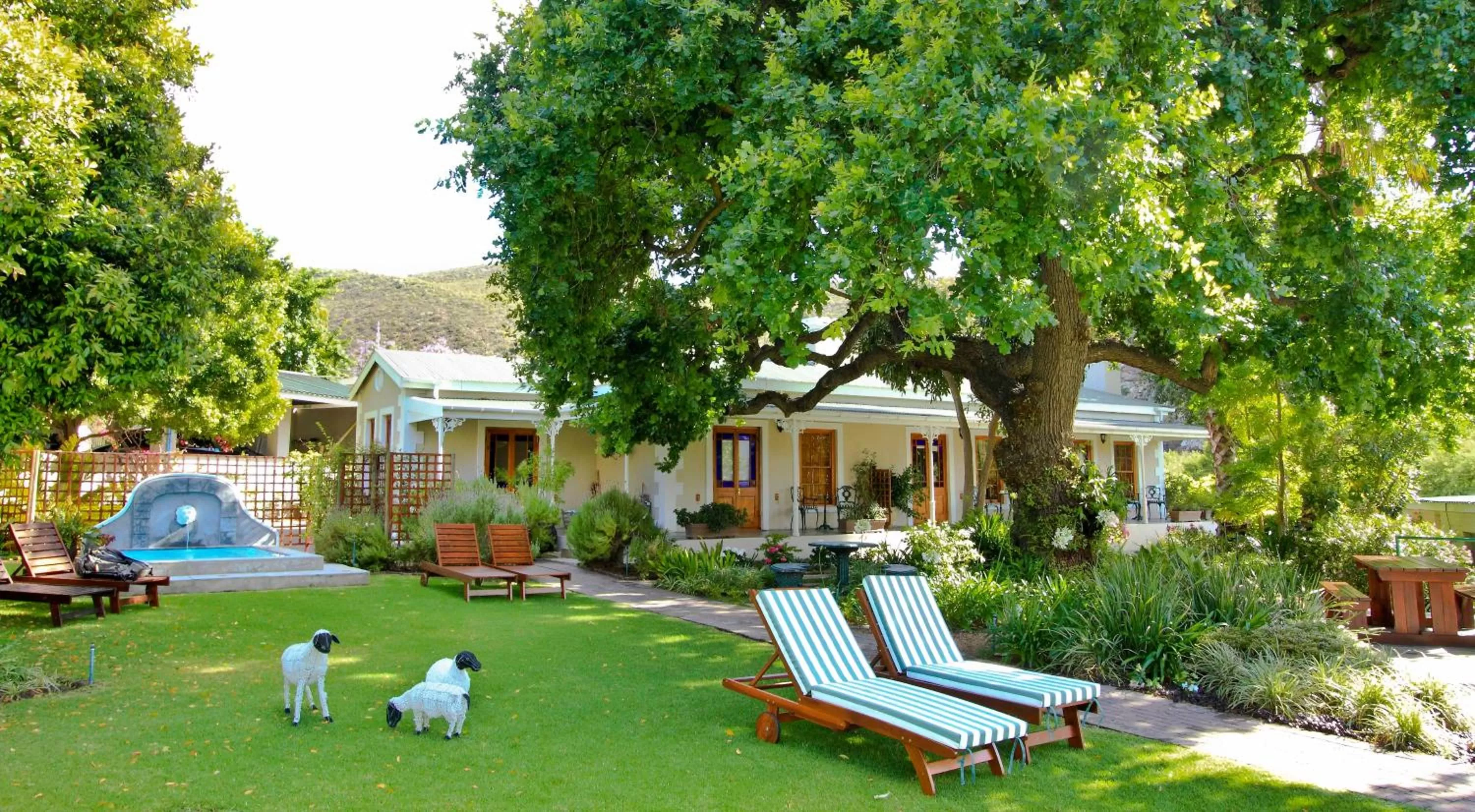 Garden in Montagu Vines Guesthouse
