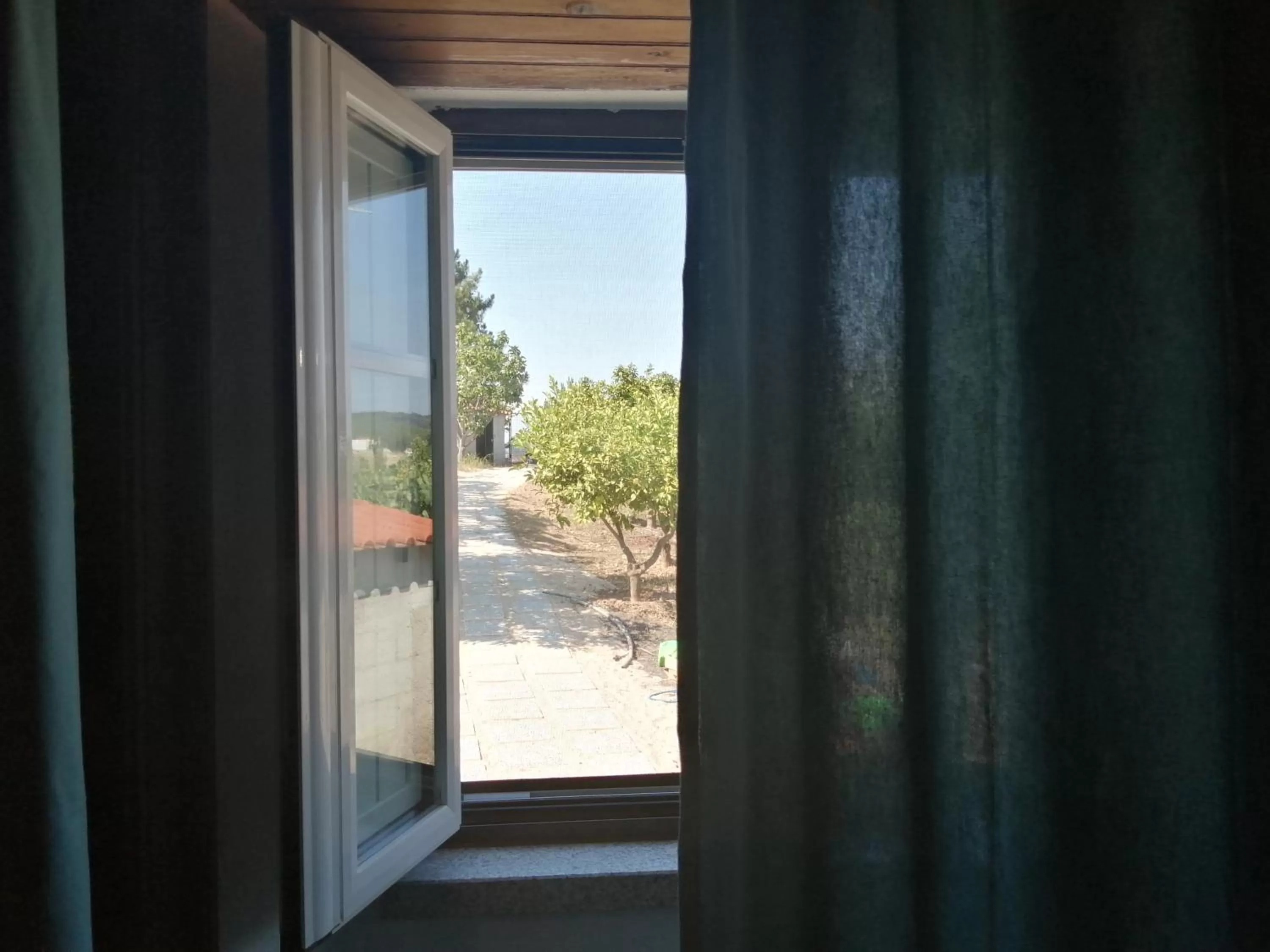 Garden view in Quinta Penedo das Antas - AL