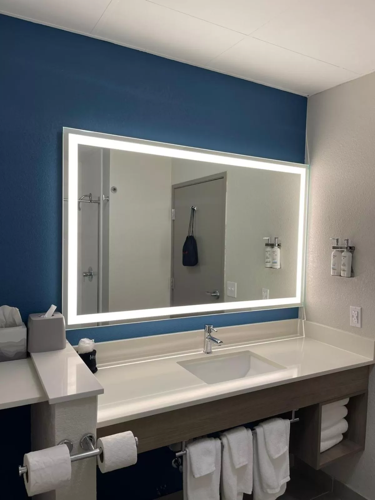 Bathroom in Holiday Inn Express Hotel & Suites Hiawassee by IHG