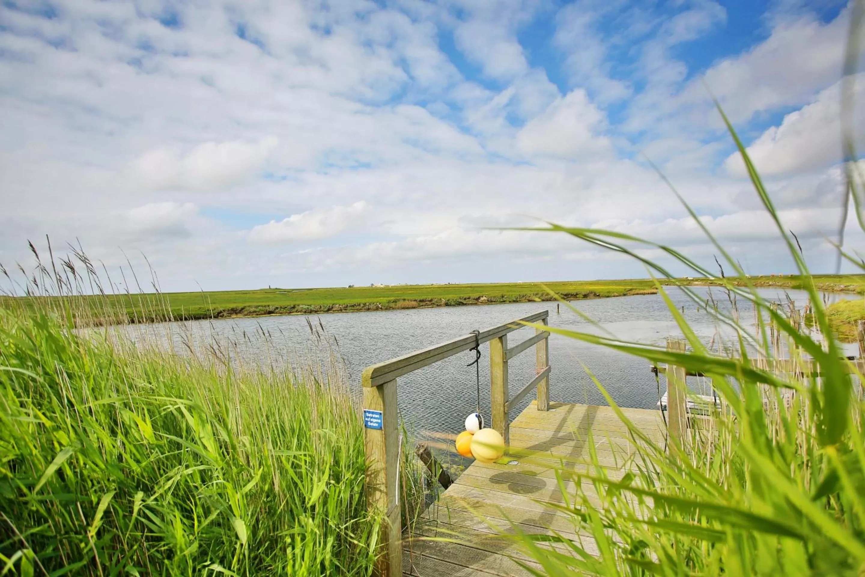 Natural landscape in Anker's Hörn - Hotel & Restaurant auf der Hallig Langeness