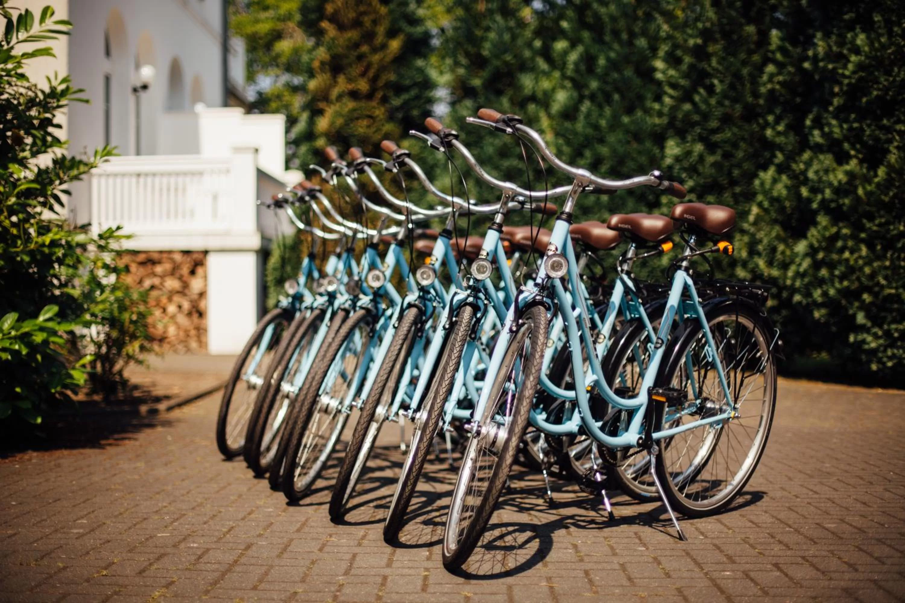 Cycling in AKZENT Apartmenthotel Residenz