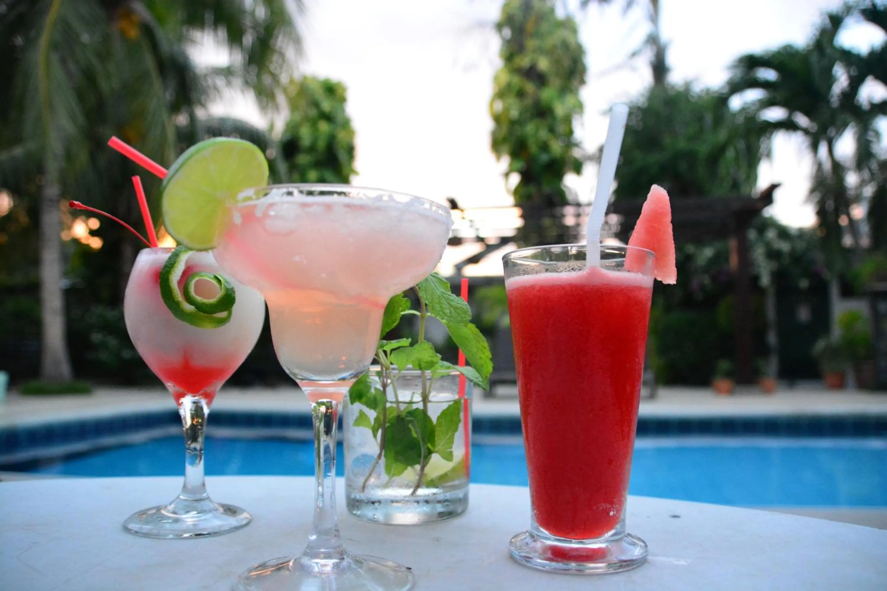 Lounge or bar in Hotel Europeo