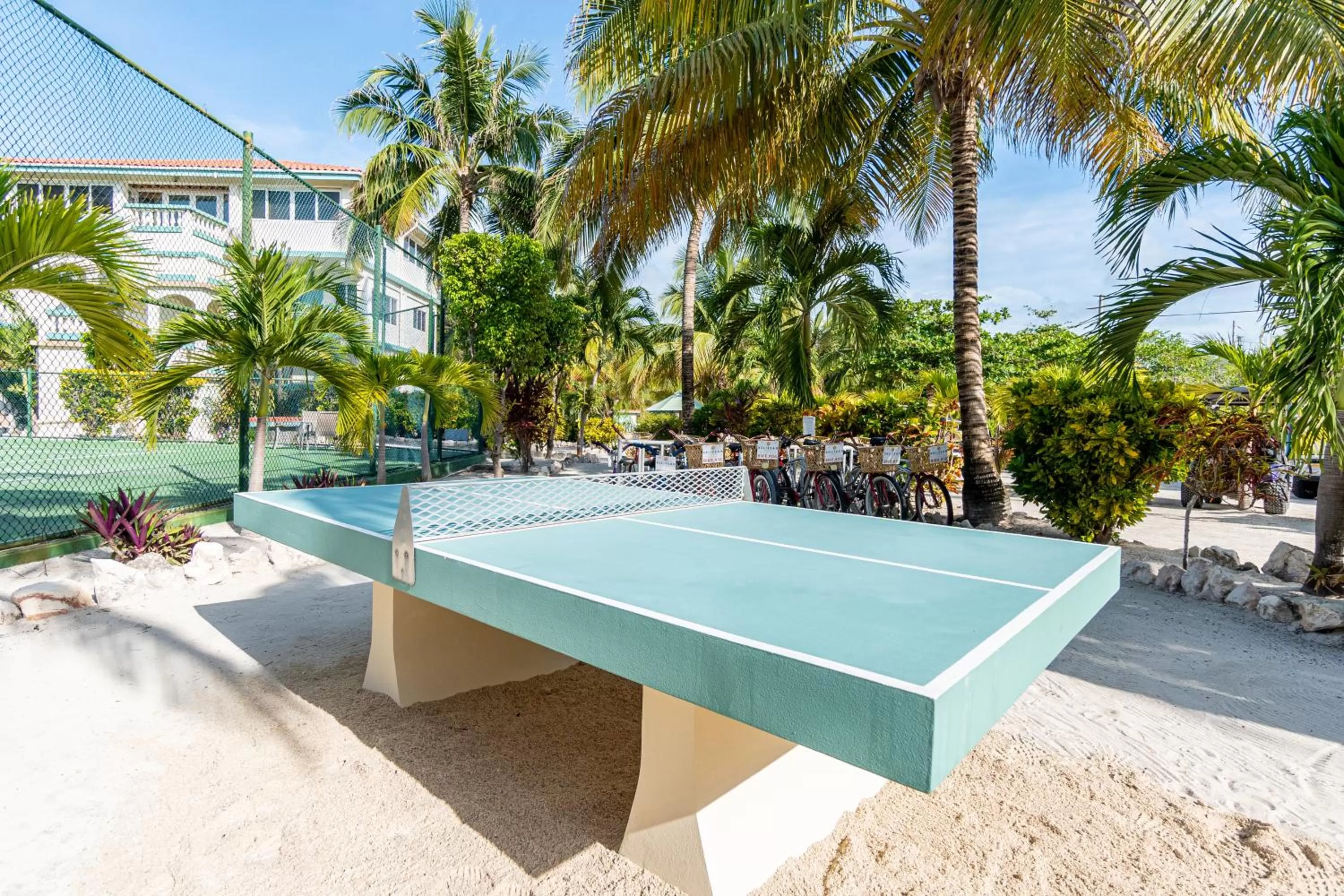 Table tennis in Belizean Shores Resort