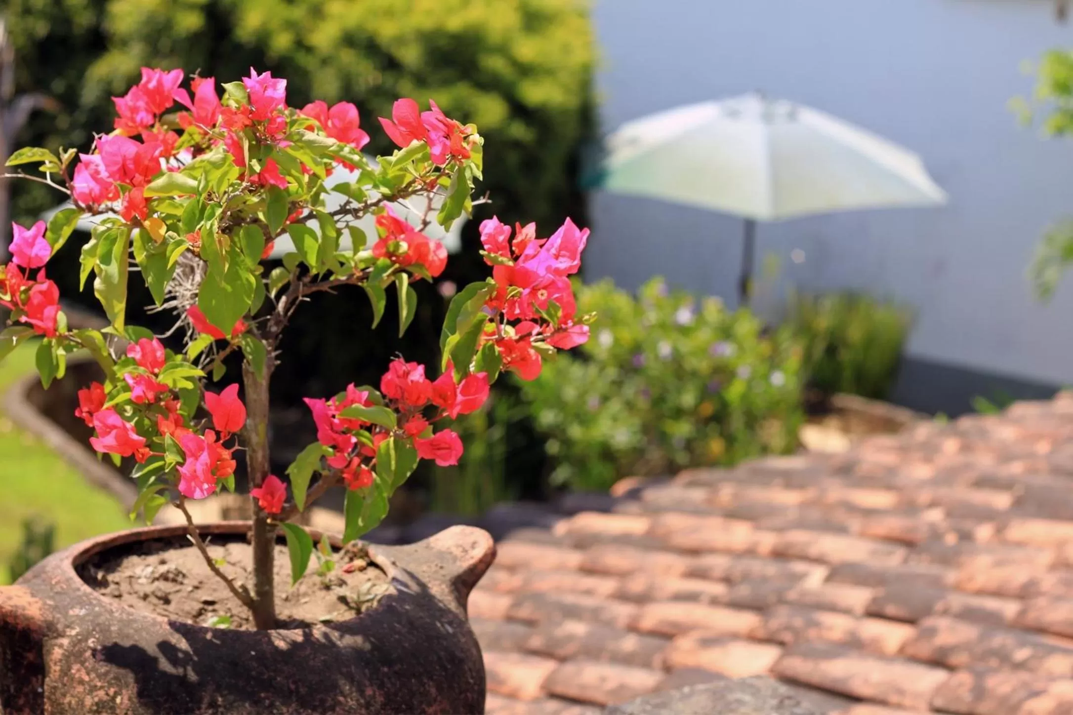 La Casa de Cafe Bed and Breakfast