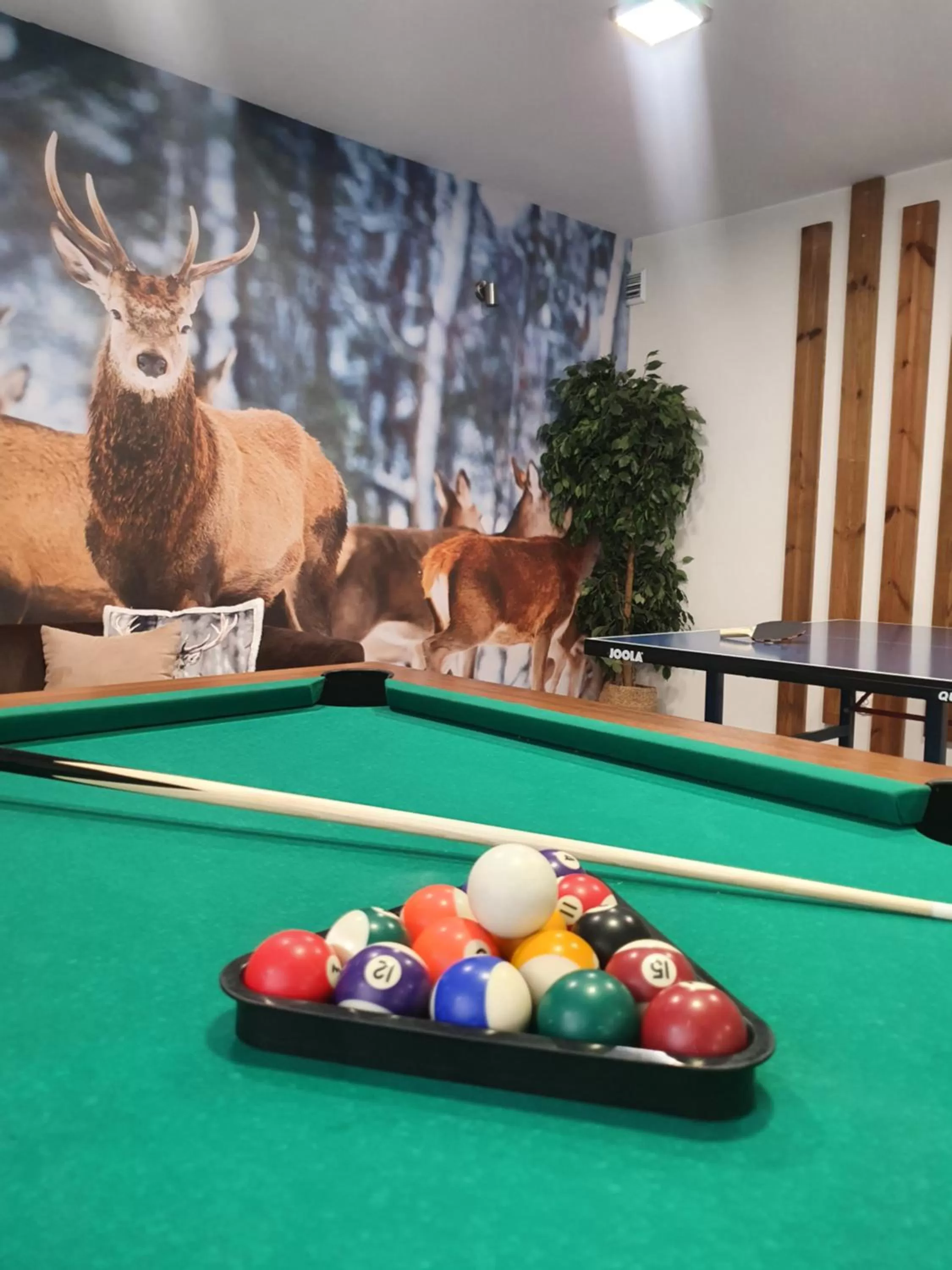 Billiard in Dom Wypoczynkowy Stokrotka