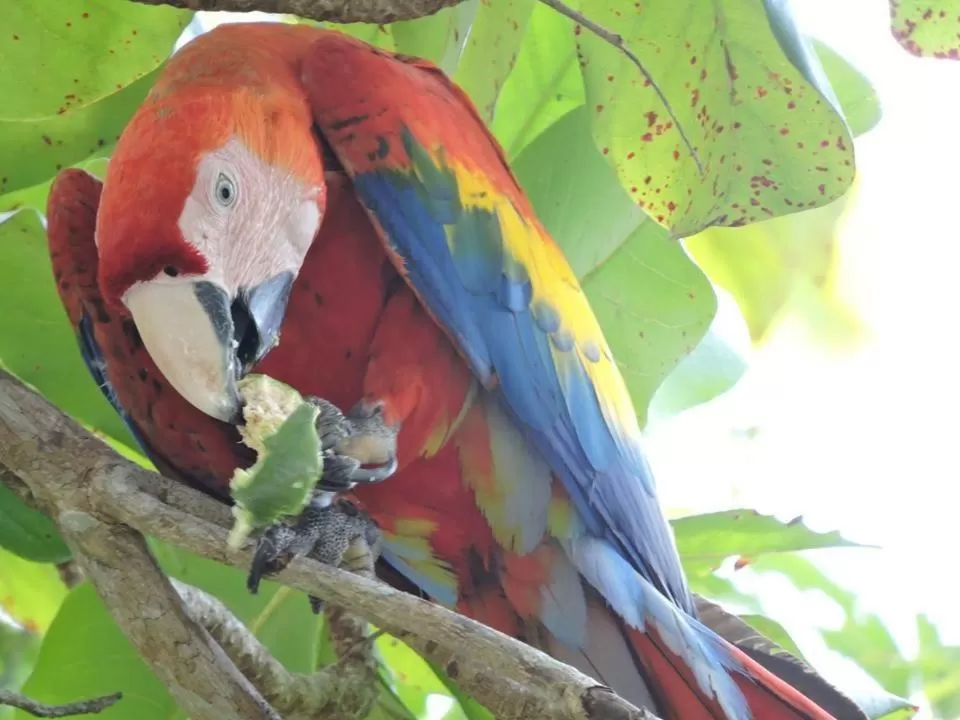 Property building, Other Animals in Hotel Beachfront Vista Hermosa