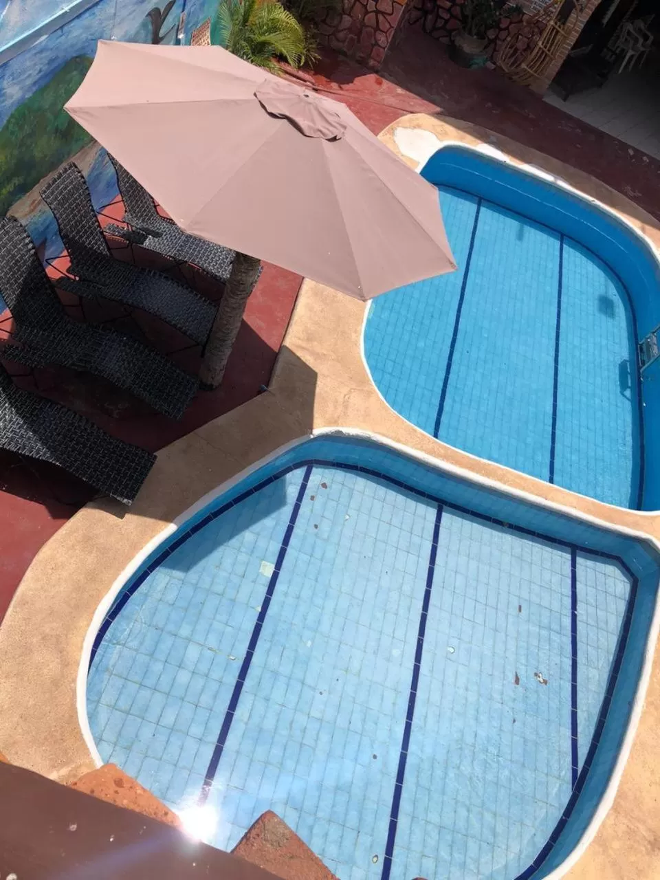 Pool view in Bungalows Flamingos